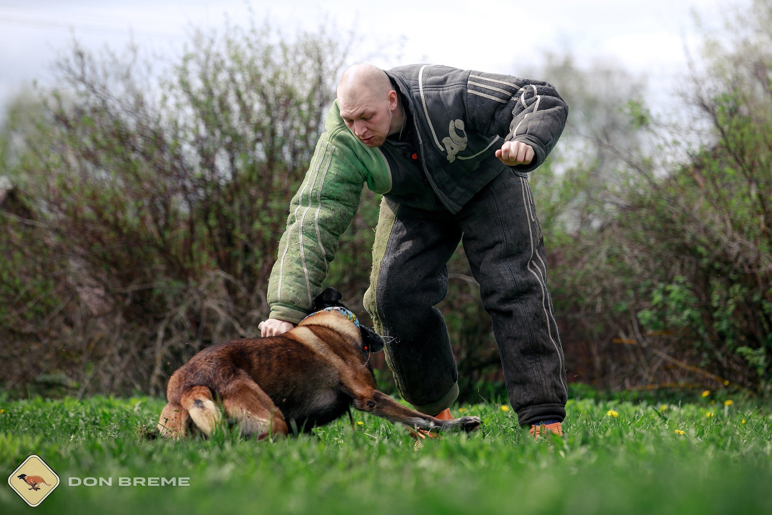 Семинар для фигурантов, день 2. Фотограф-анималист Mary Mart — Москва, Питер