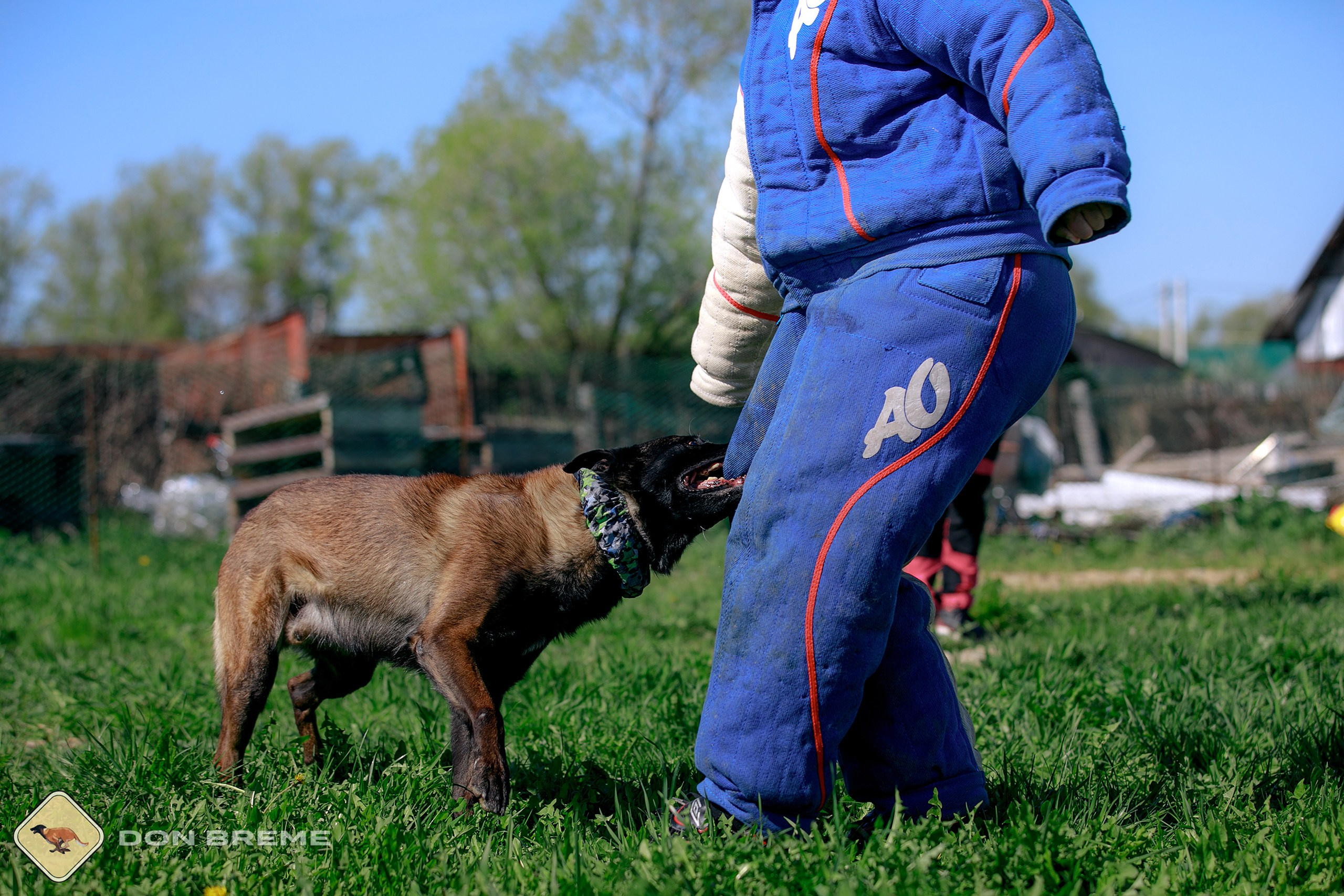 Семинар для фигурантов, день 3. Фотограф-анималист Mary Mart — Москва, Питер