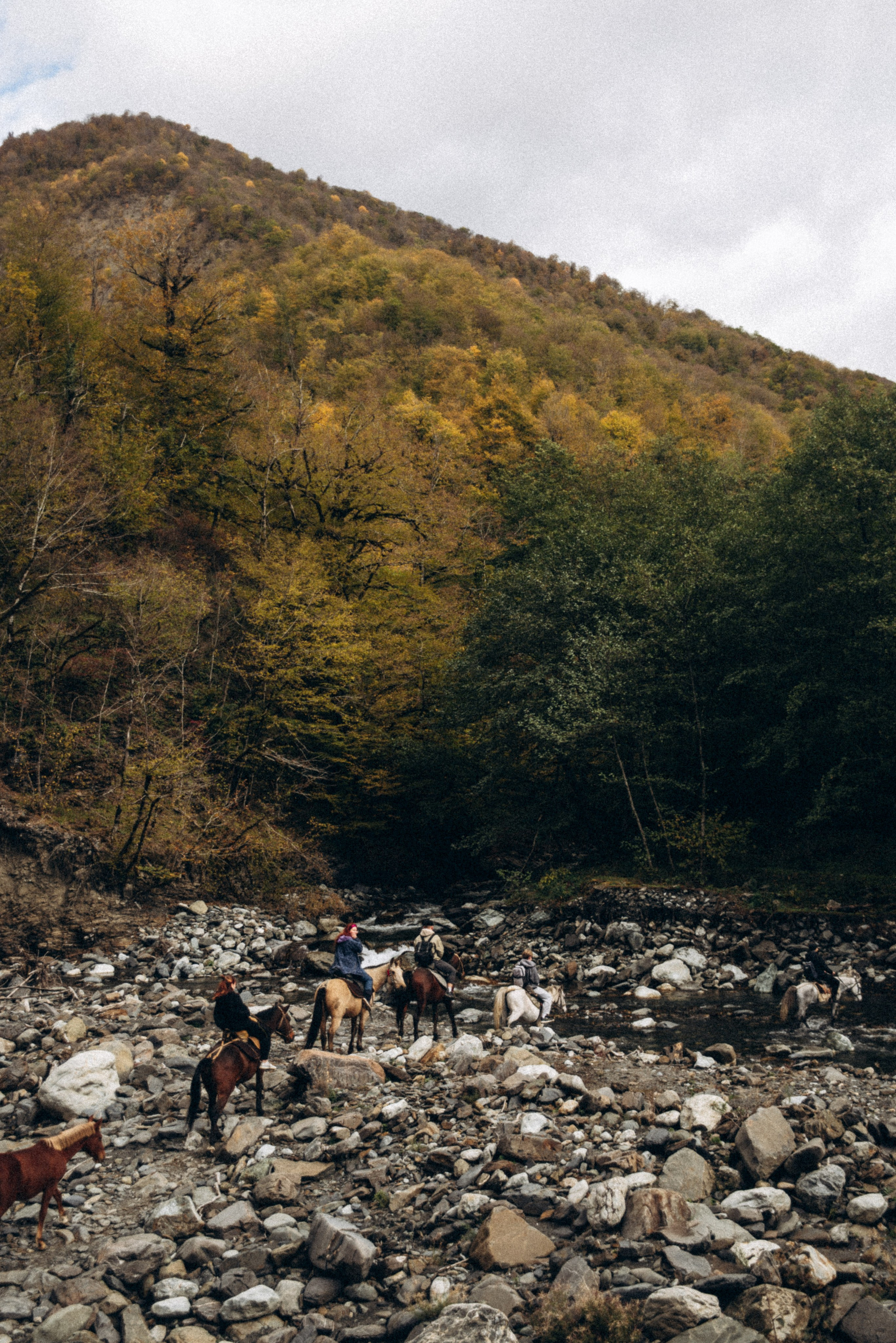 Конный поход 🇬🇪 «PVD Club». Anita_photo