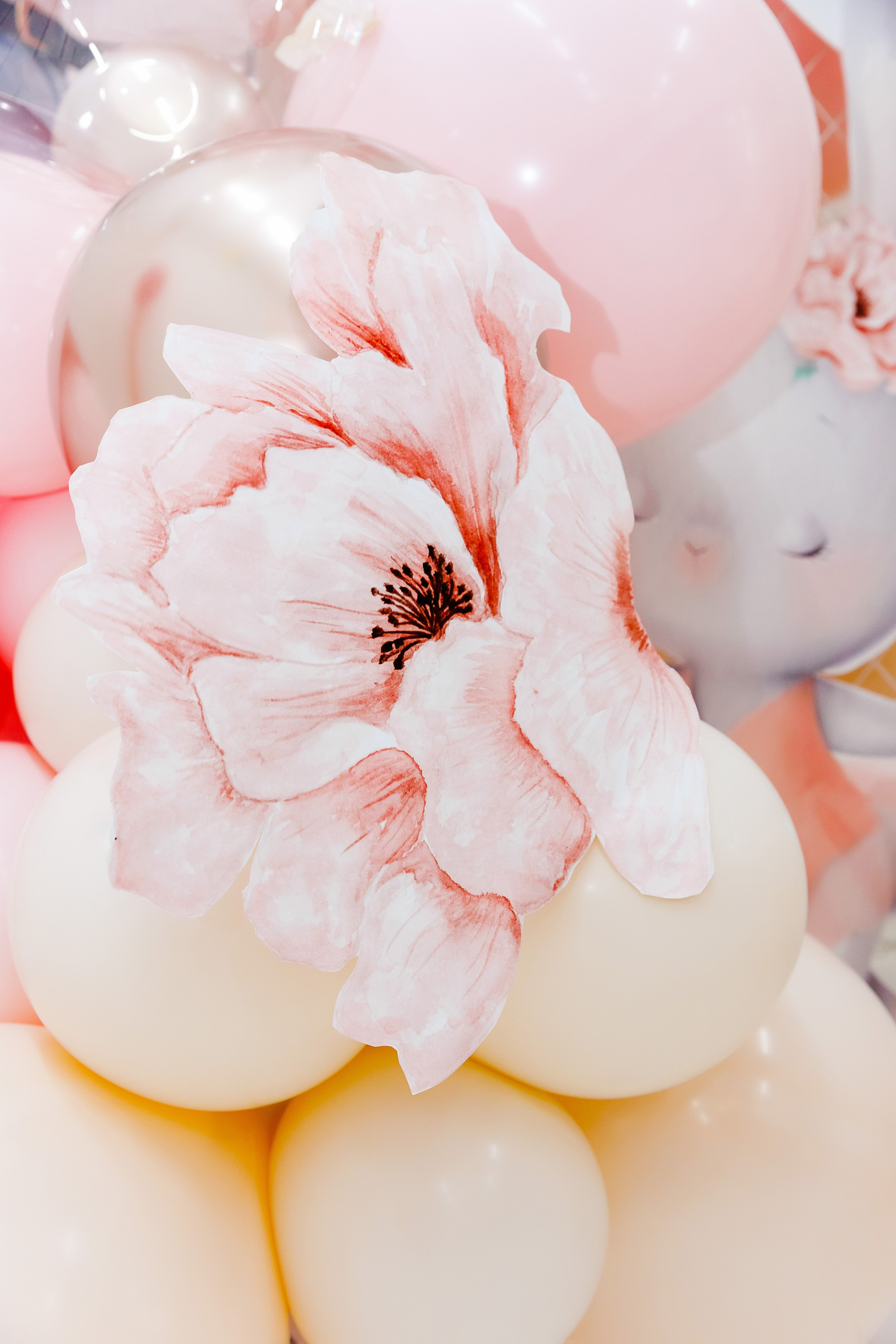 МК декораторов. Фотограф Новосибирск — Наталья Гресь