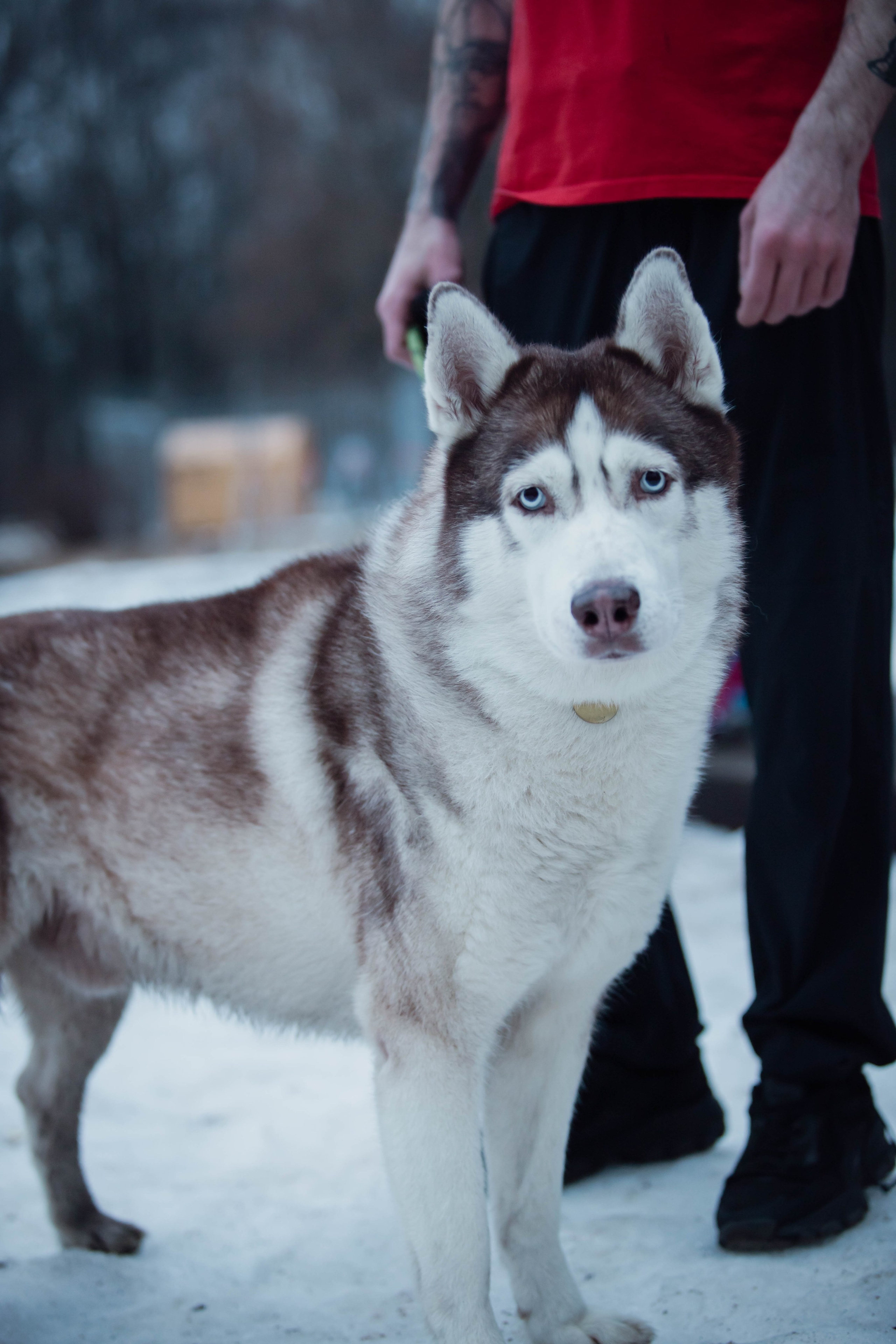 5 верст/декабрь. Александра Мельниченко/ Бегающий фотограф