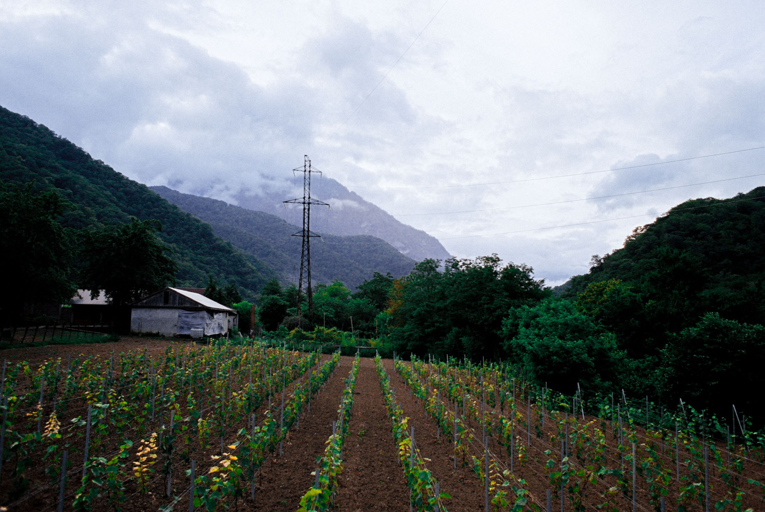 Abkhazia-2023. Никита Демидов. Nikita Demidov