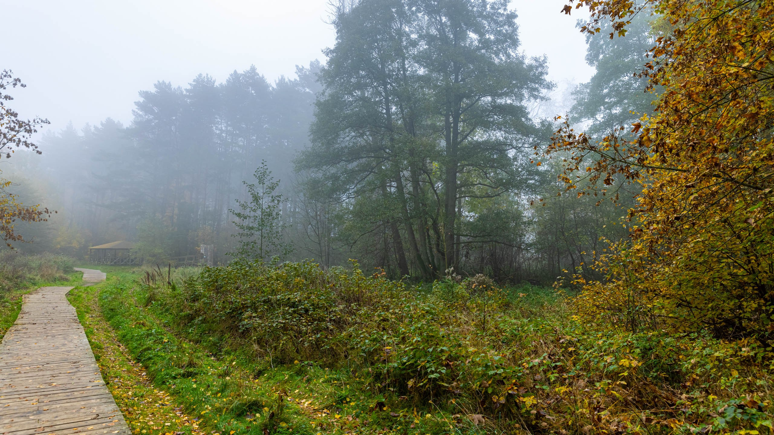 2024 10 Зеленоградск, Светлогорск, Куршская коса. Фотографии