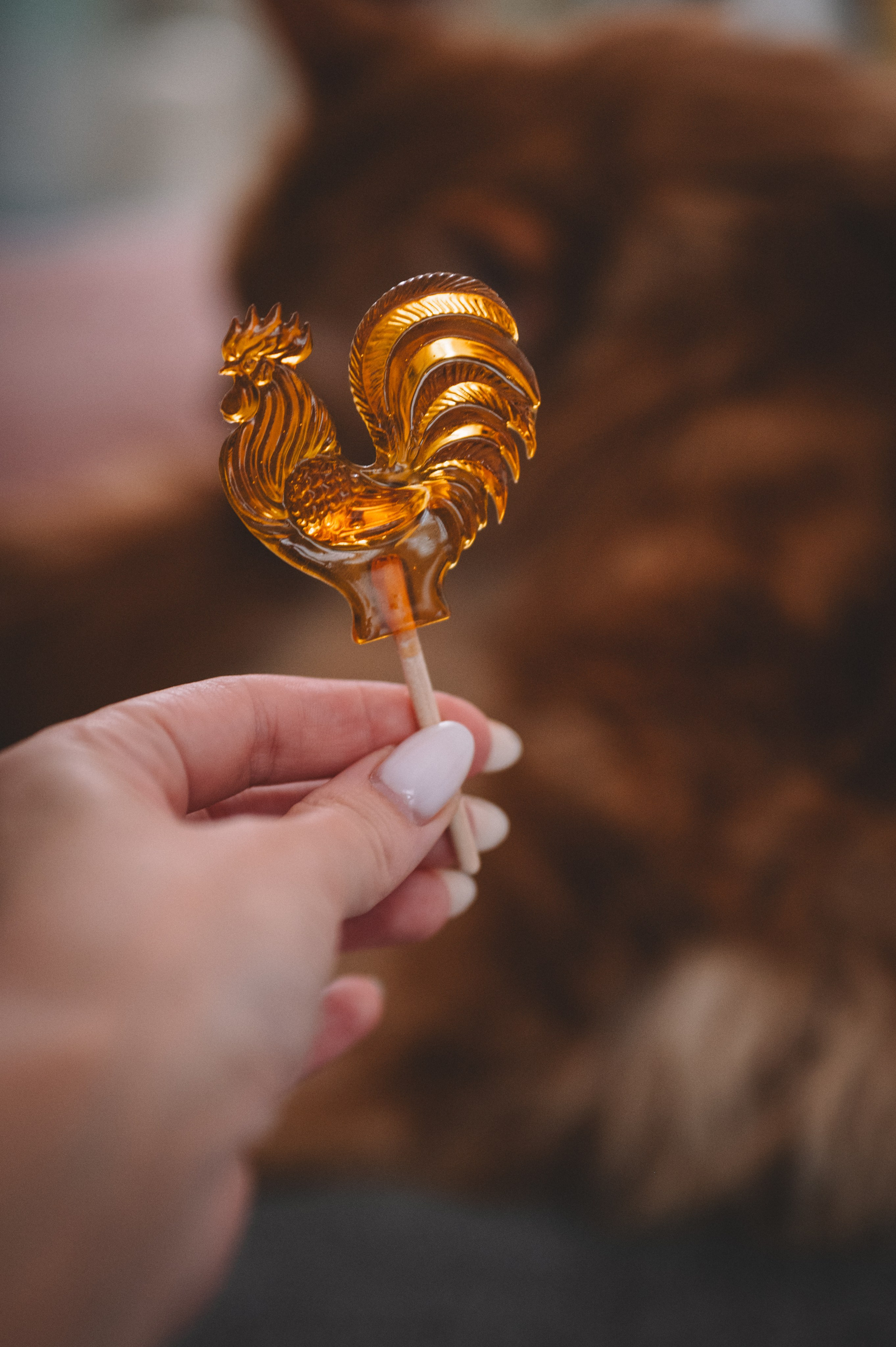 Броши от КастомФил. Фотограф Анна Темнова. Пенза