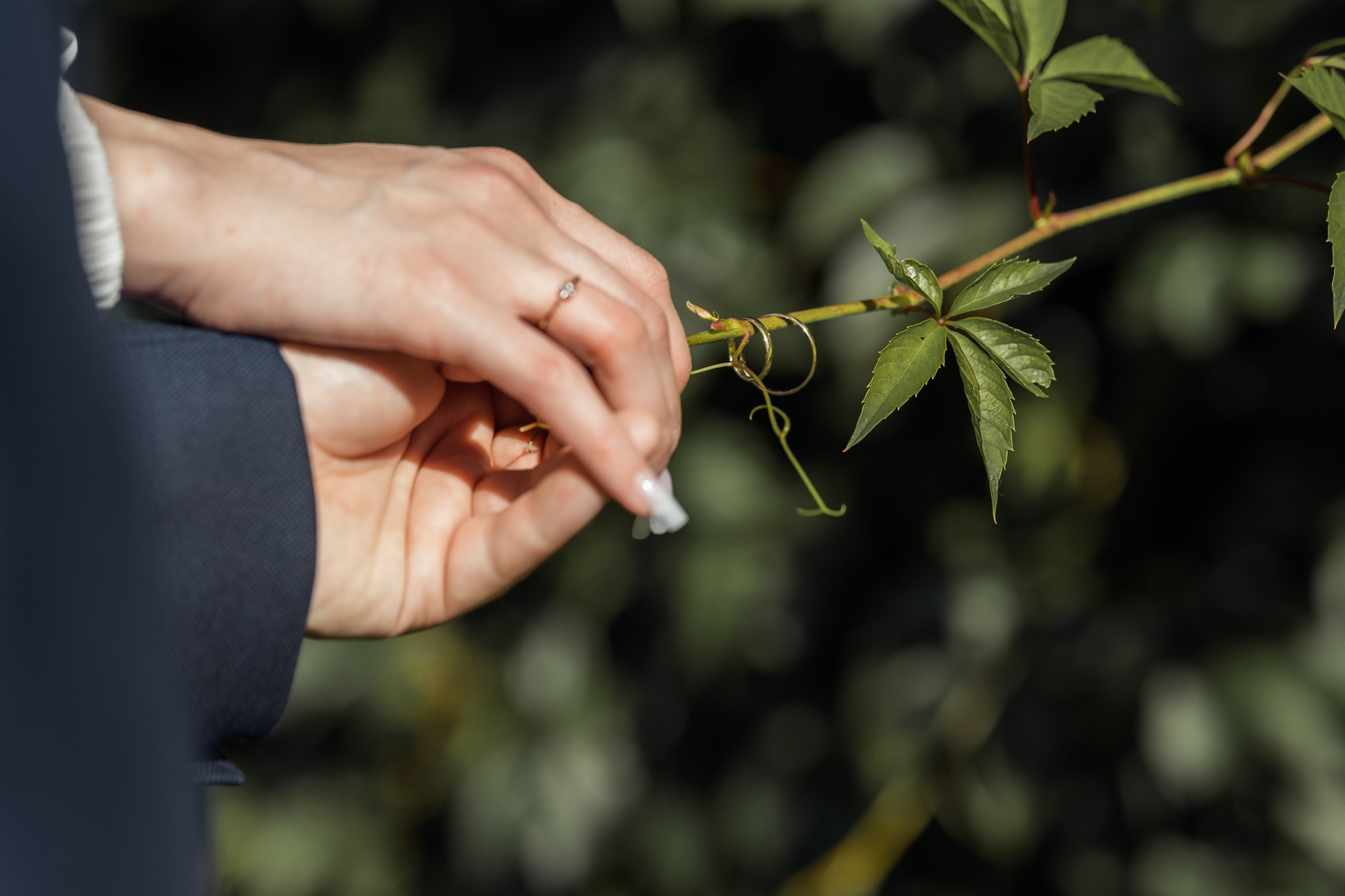 Константин и Олеся. Свадебный и семейный фотограф в Колпино и СПб Юлия Папанова