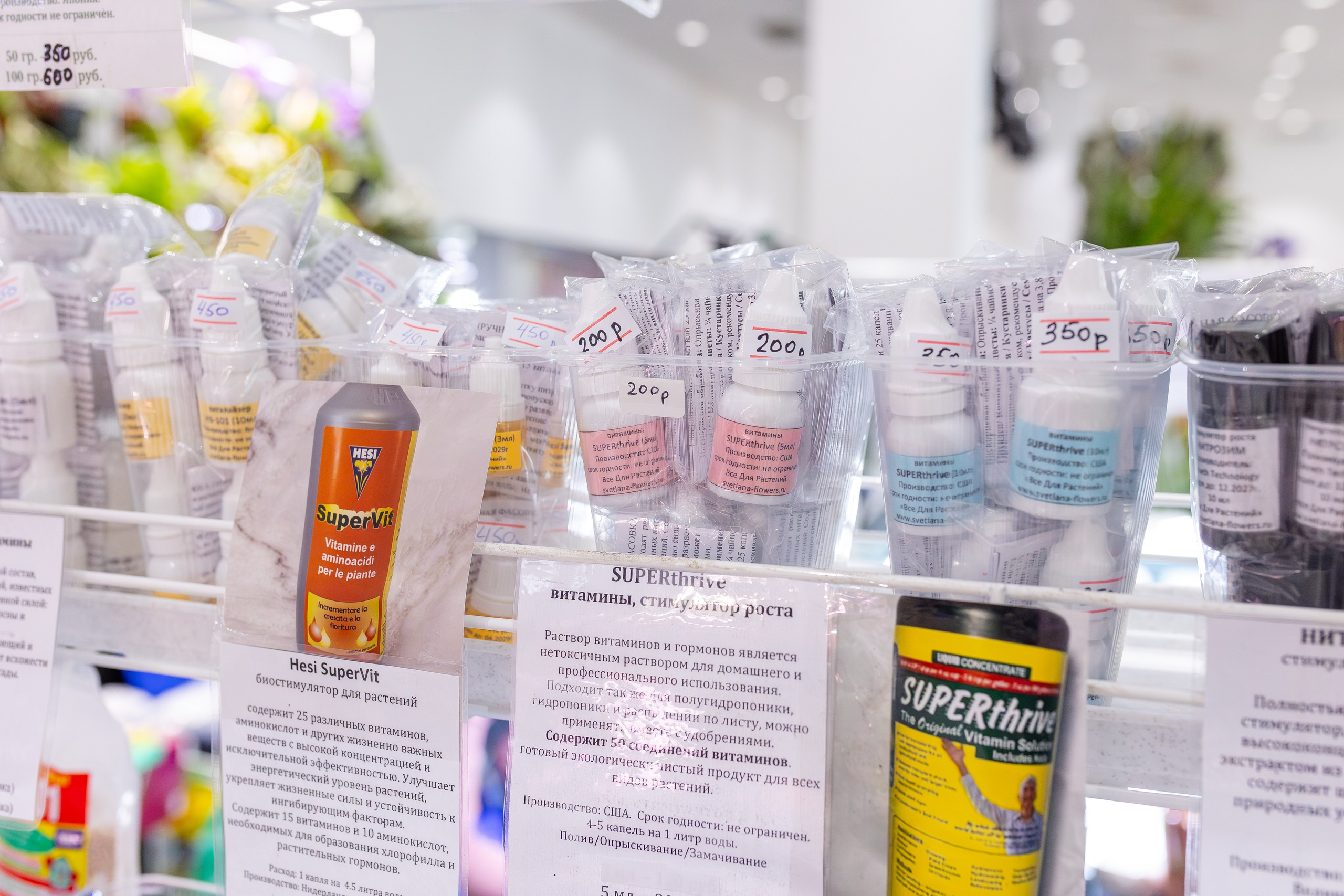 Орхидиум сентябрь 2025. Александра Куликова фотограф, Москва