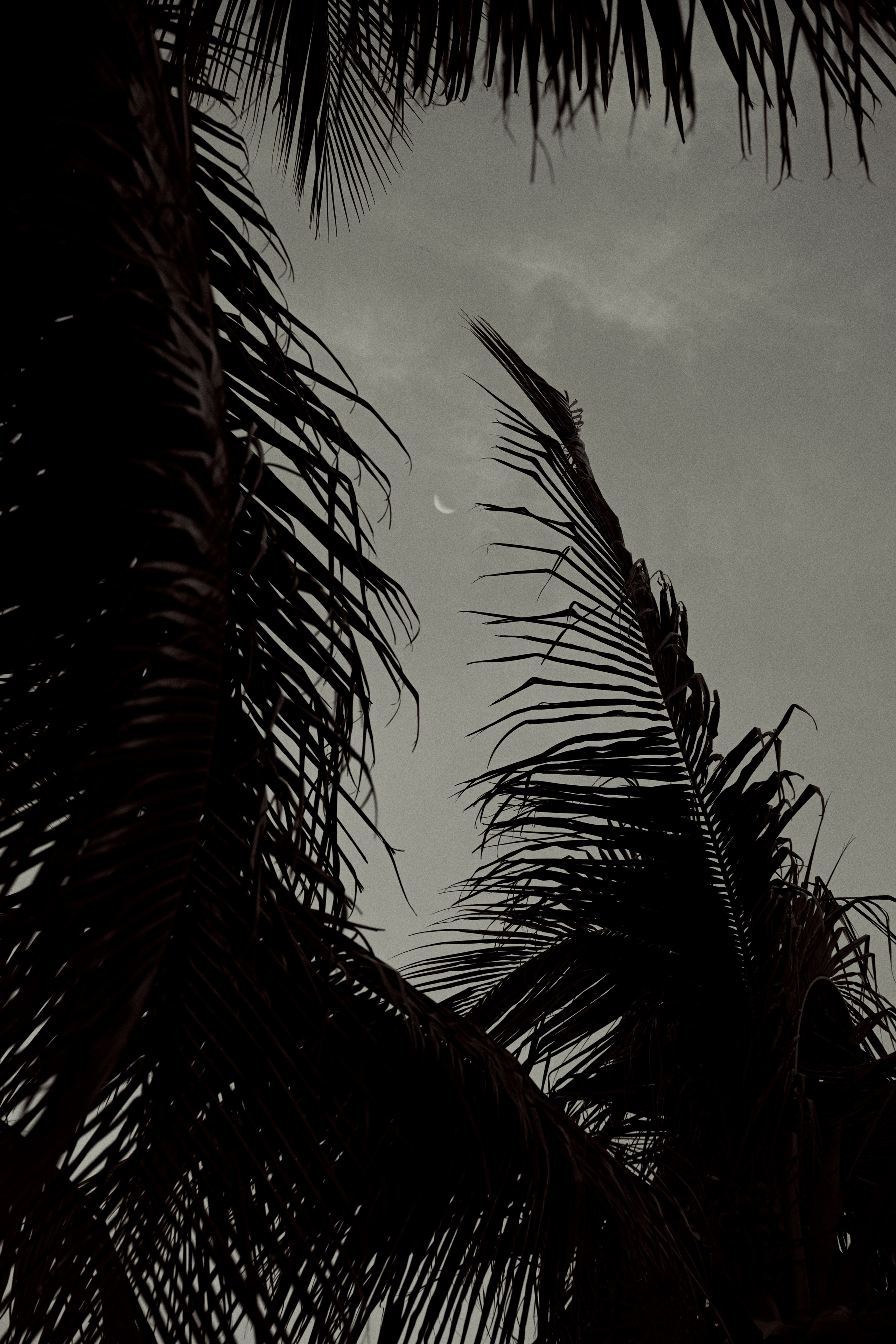 ТАИЛАНД. Студийный фотограф в Екатеринбурге Бшари Заана