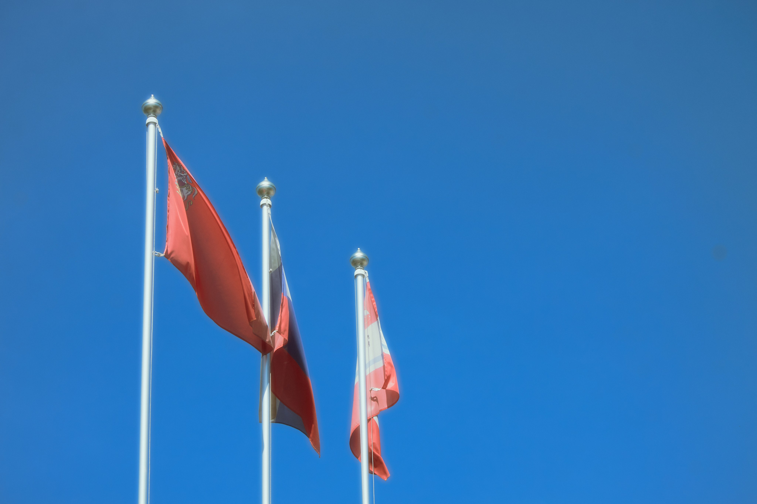 Последний звонок. Фотограф Елизавета Маслова. Москва. Art, Fashion