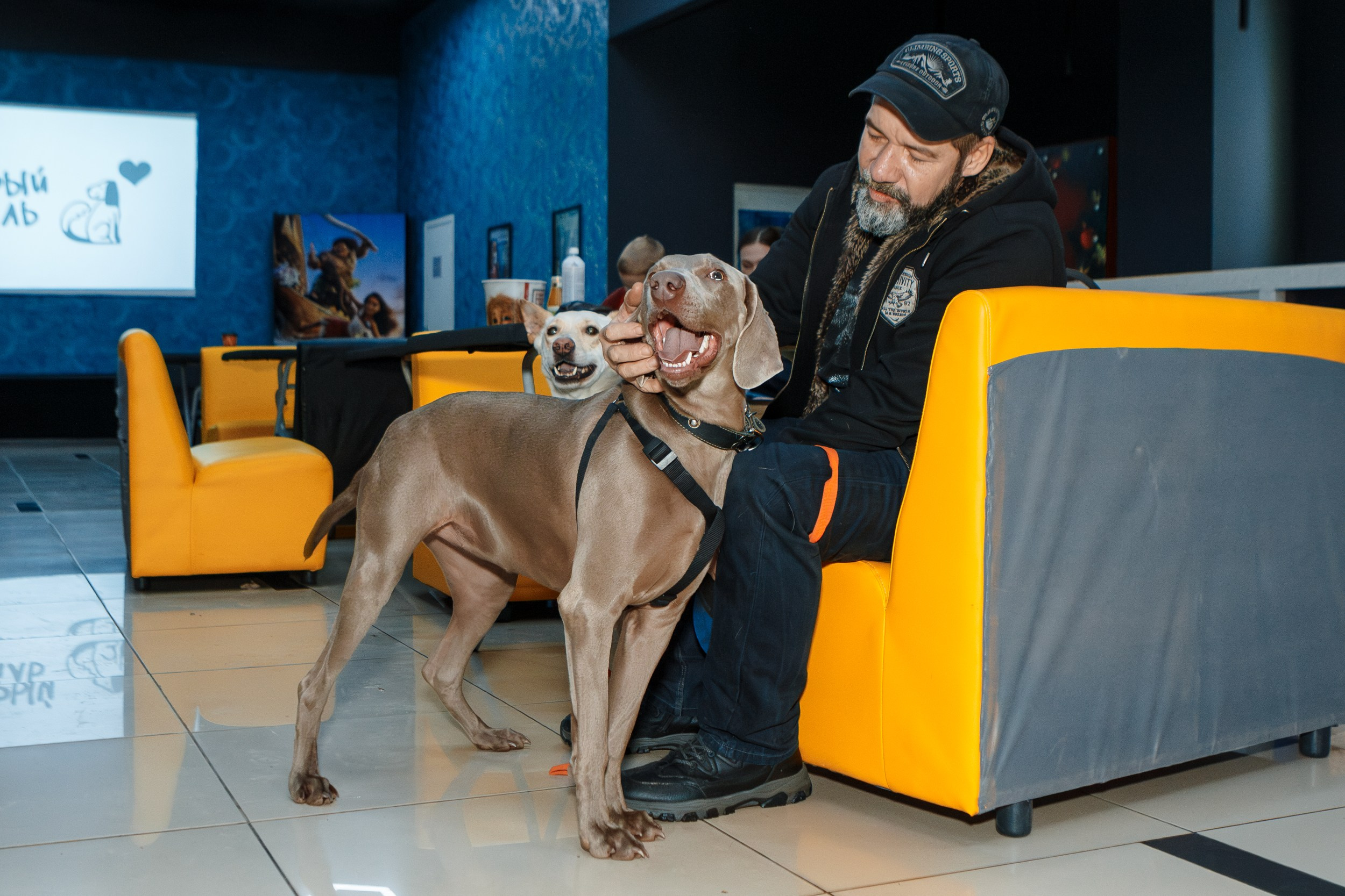Dog-friendly киновечер от ФлагманВет. Ksenia de Rossi | Съемка в Самаре