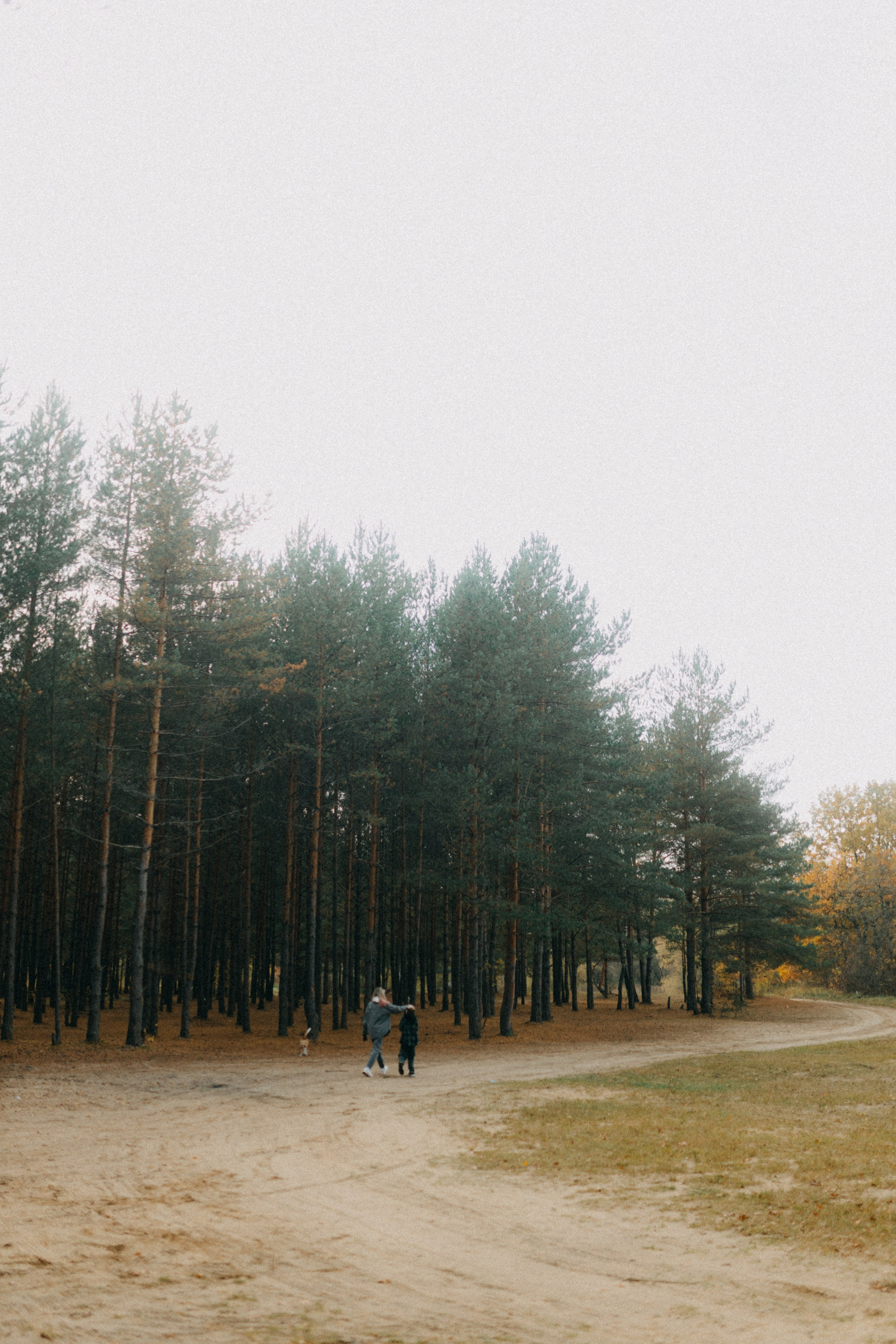 Ксюша & Федя. Прогулка с Лайдом. Фотограф НОГИНСК, Москва, Анастасия Белая