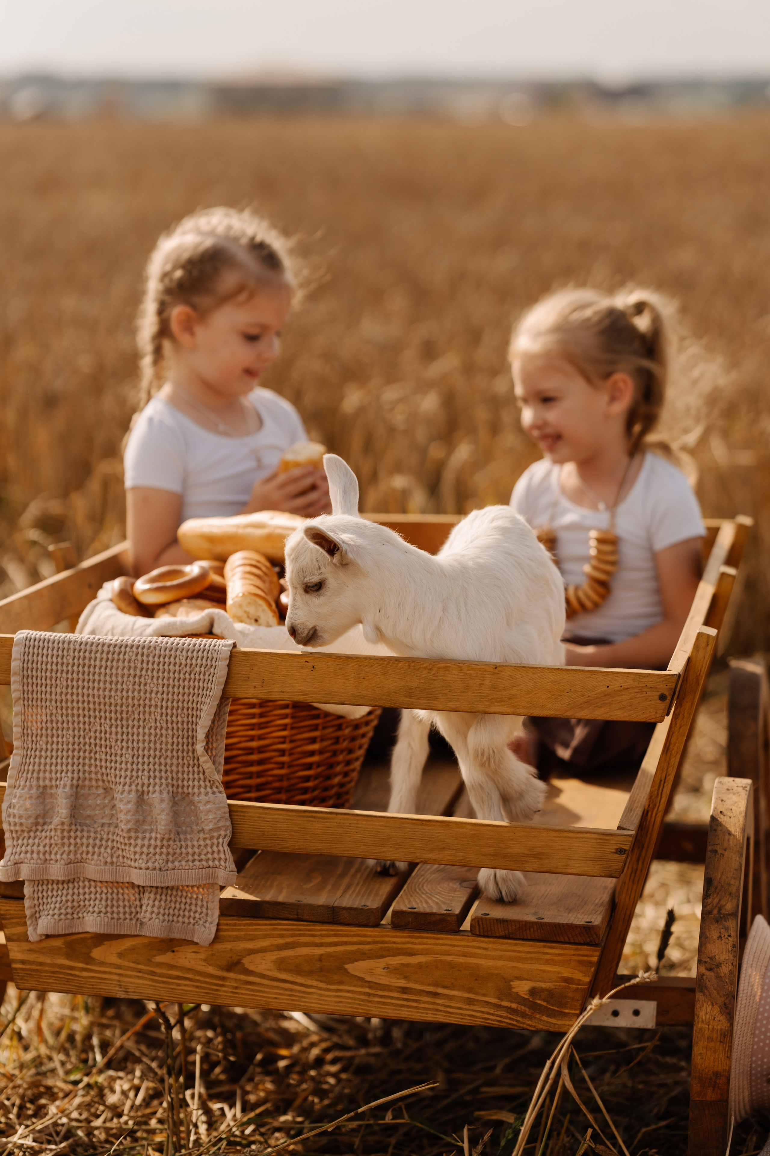 Девочки с козленком. СВАДЕБНЫЙ ФОТОГРАФ КРАСНОЯРСК
