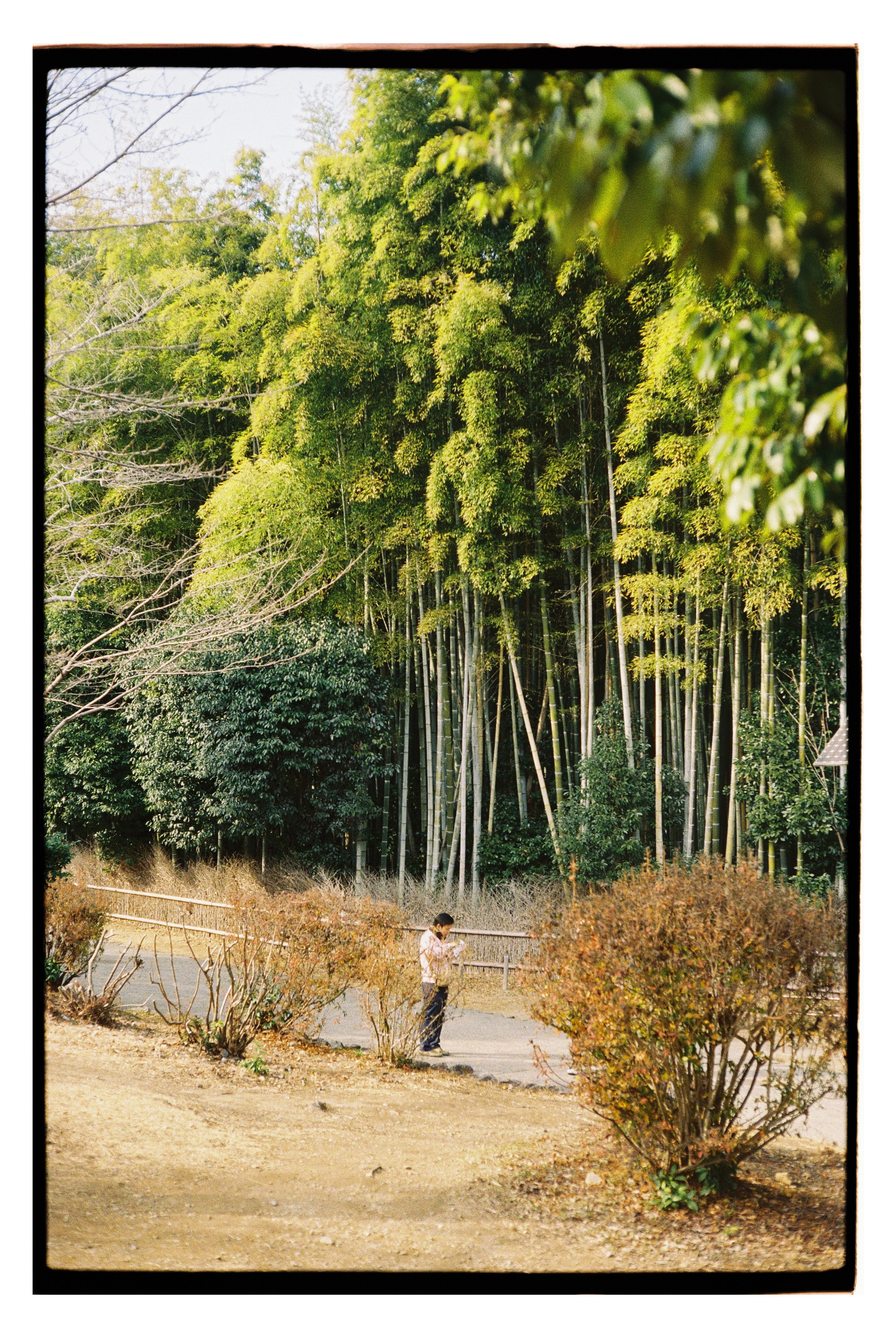 Japan. @tomrus: Рустам Шагиморданов — фотограф