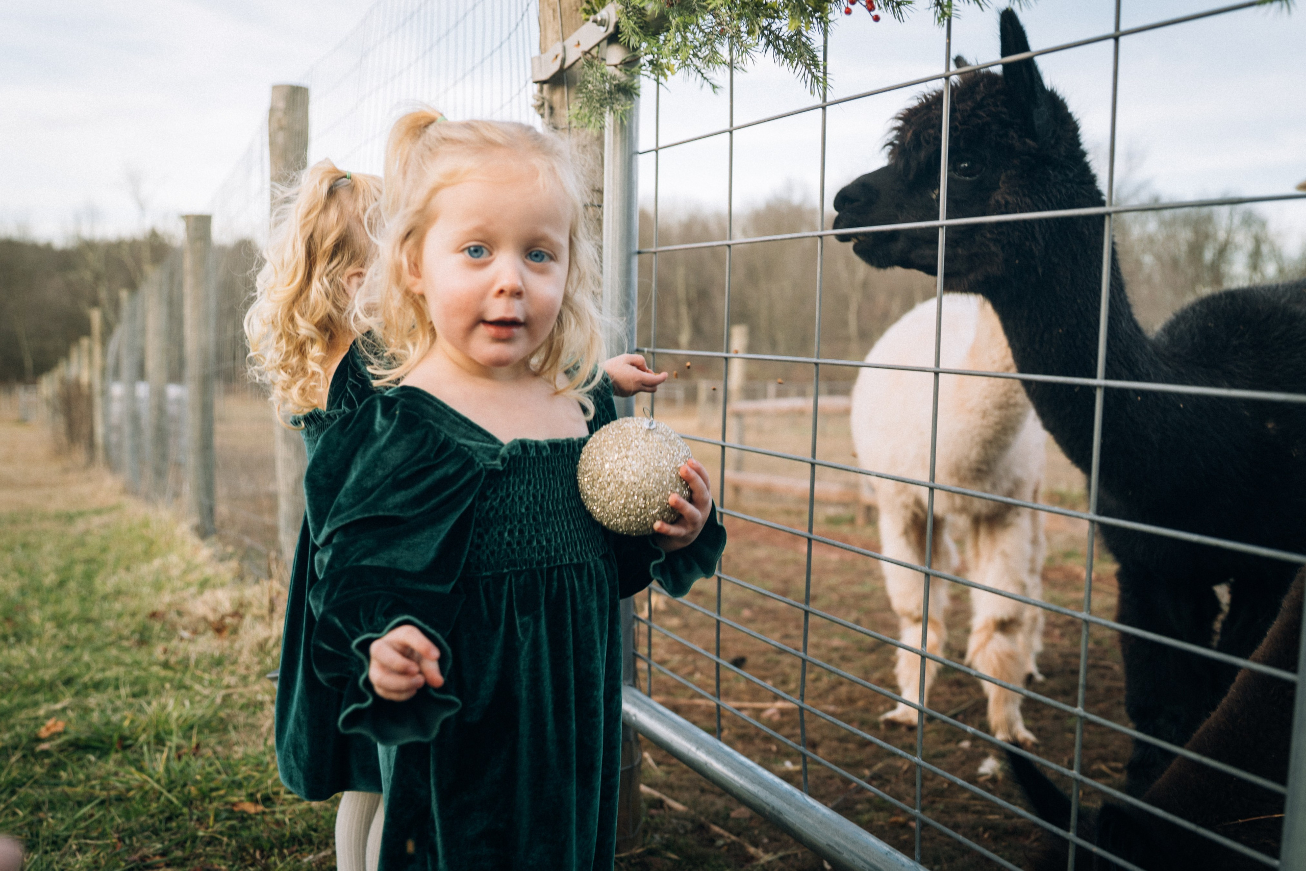 Family. Family photographer in Eastern Pennsylvania, Inna Nairn