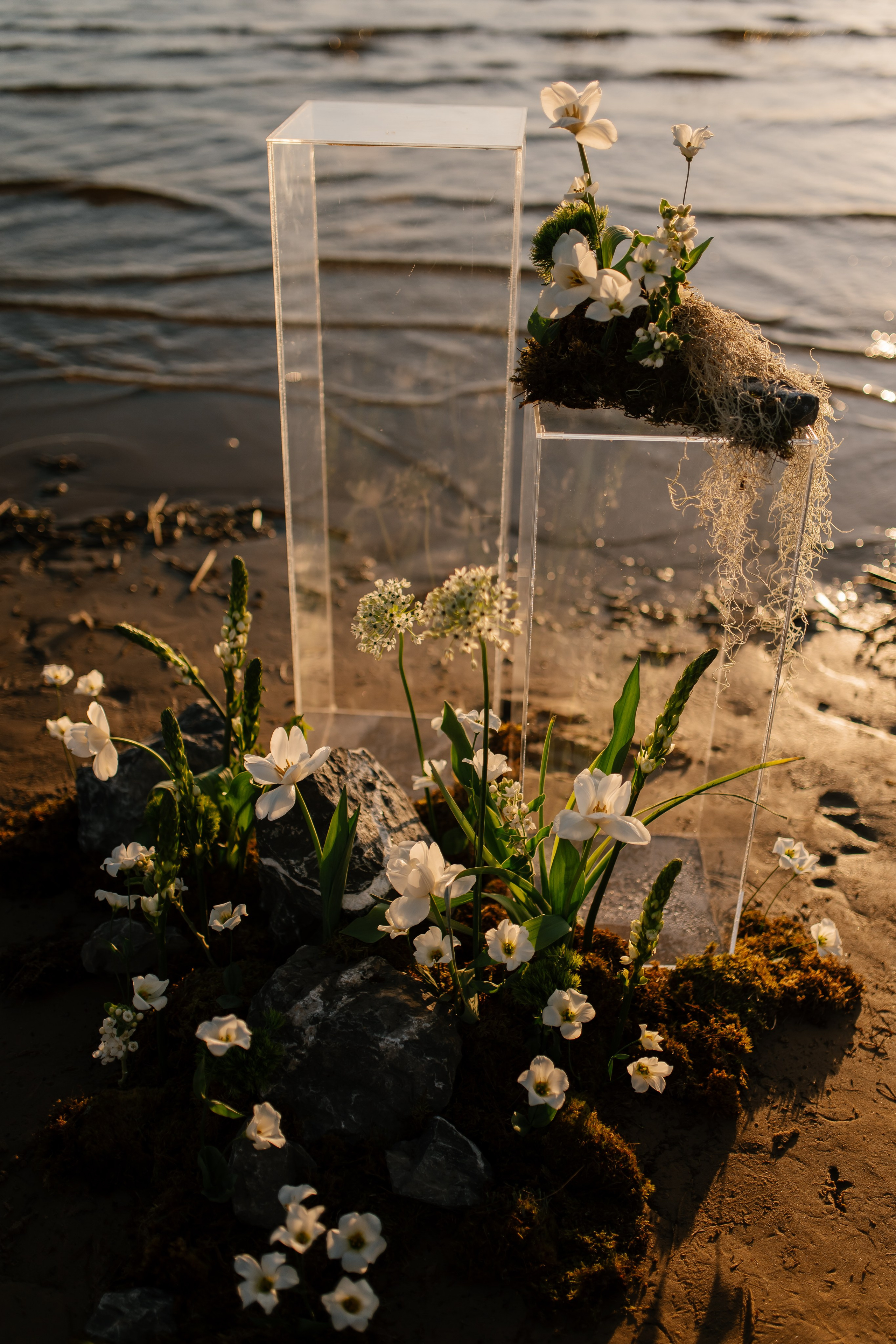 Финский залив. Свадебный и семейный фотограф Пенза Анастасия Артюшкина