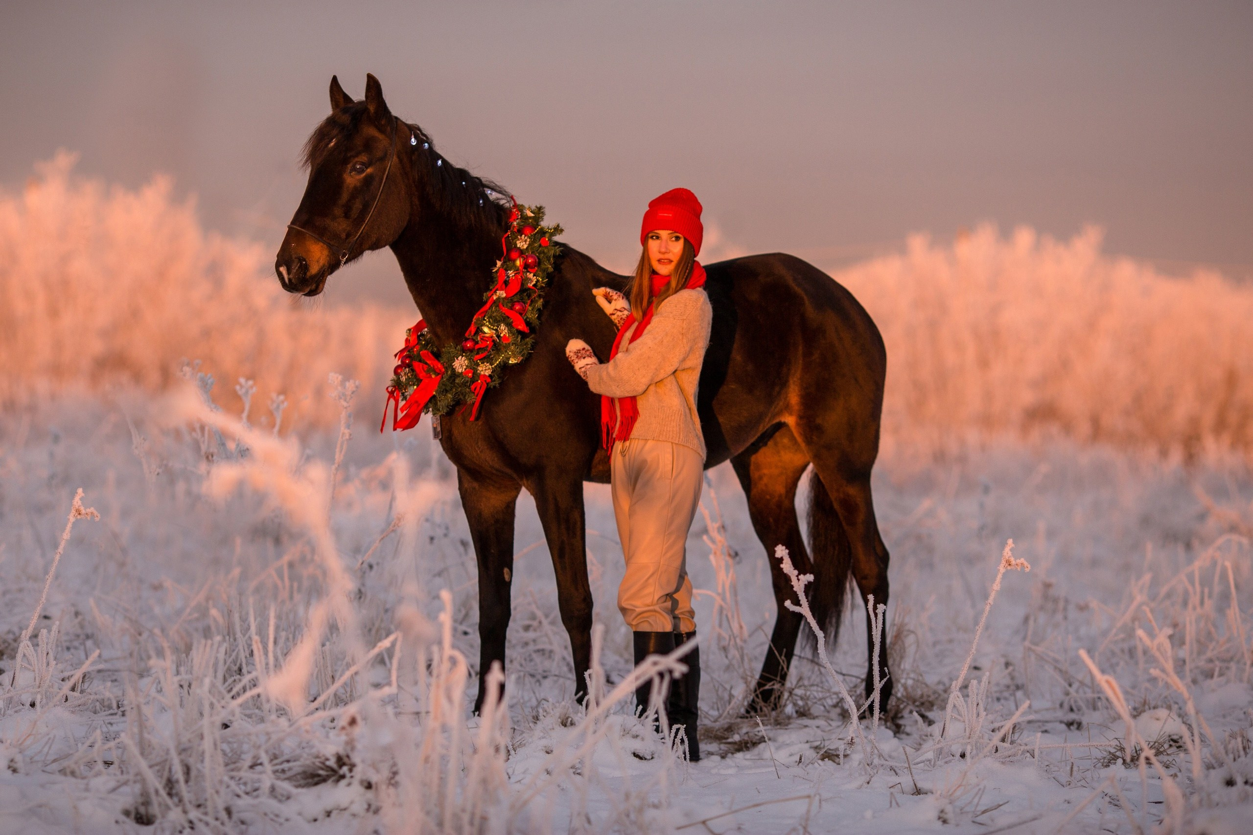 Новогодняя фотосессия с лошадью в Архангельске
