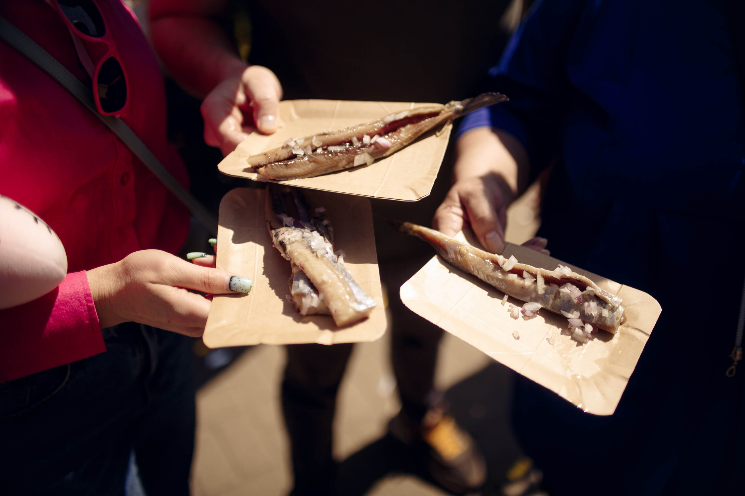 Фестиваль Селедки. Ваш репортажный фотограф Артемий Антонов