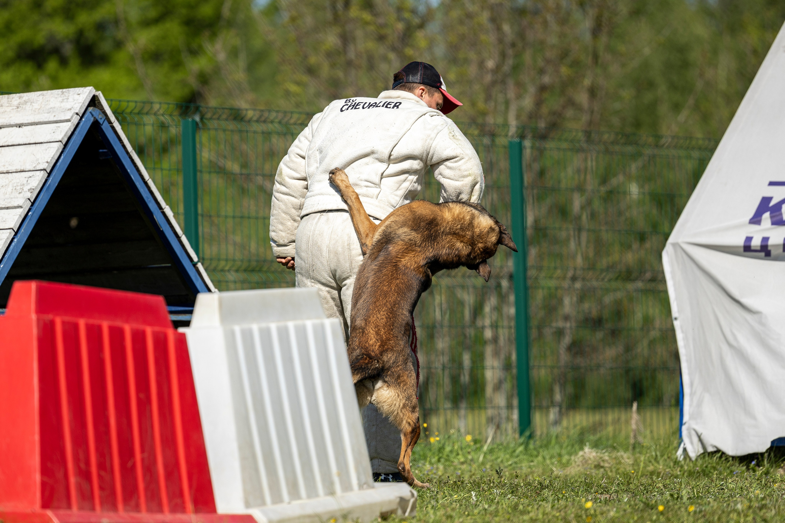 Испытания по мондьорингу в Нижнем Новгороде. Фотограф-анималист Анна Маринич