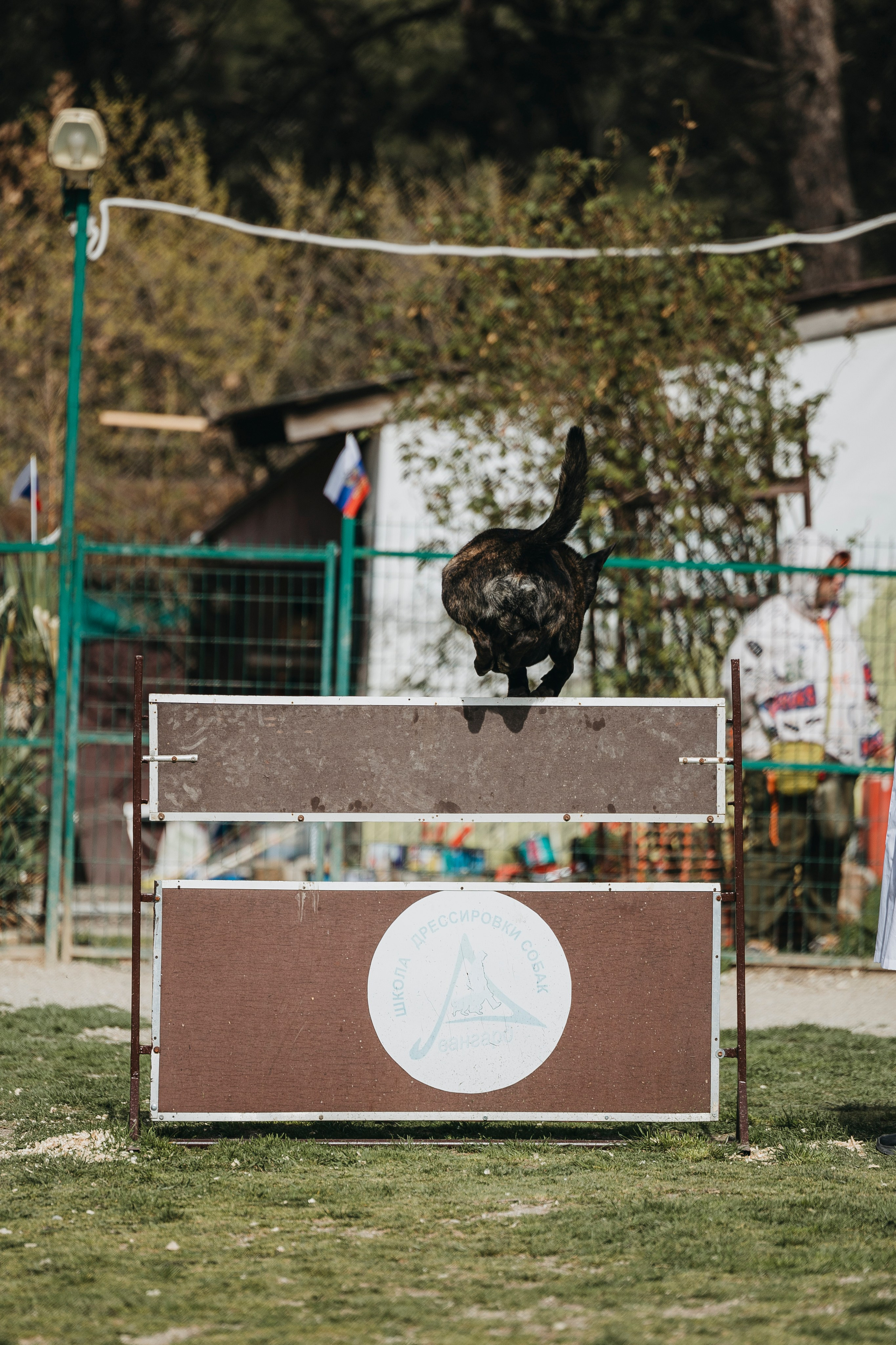 Геленджик Мондьоринг. Фотограф-анималист Анна Маринич