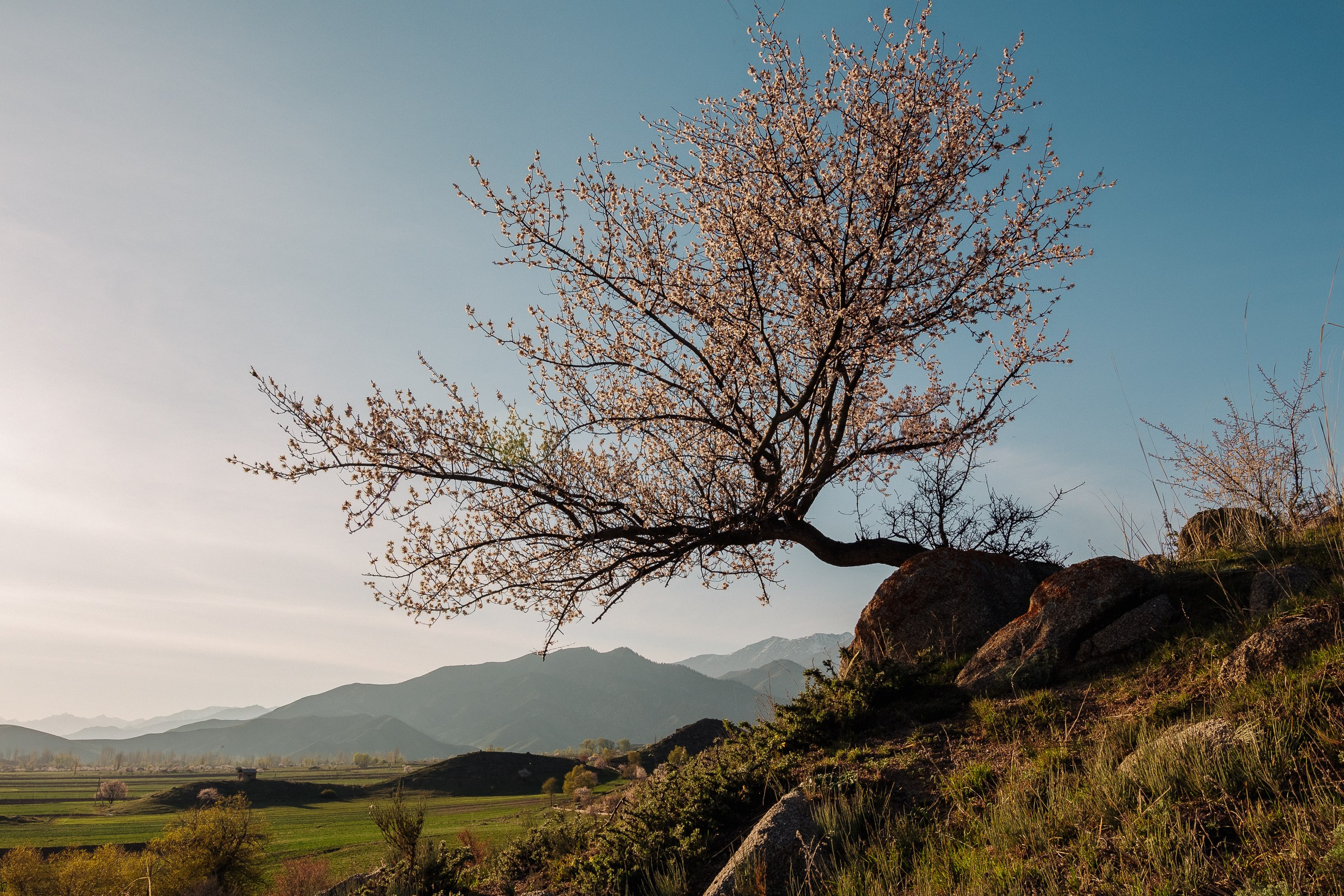Пейзаж. Валентин Гальетов — репортажный и портретный фотограф в Чебоксарах