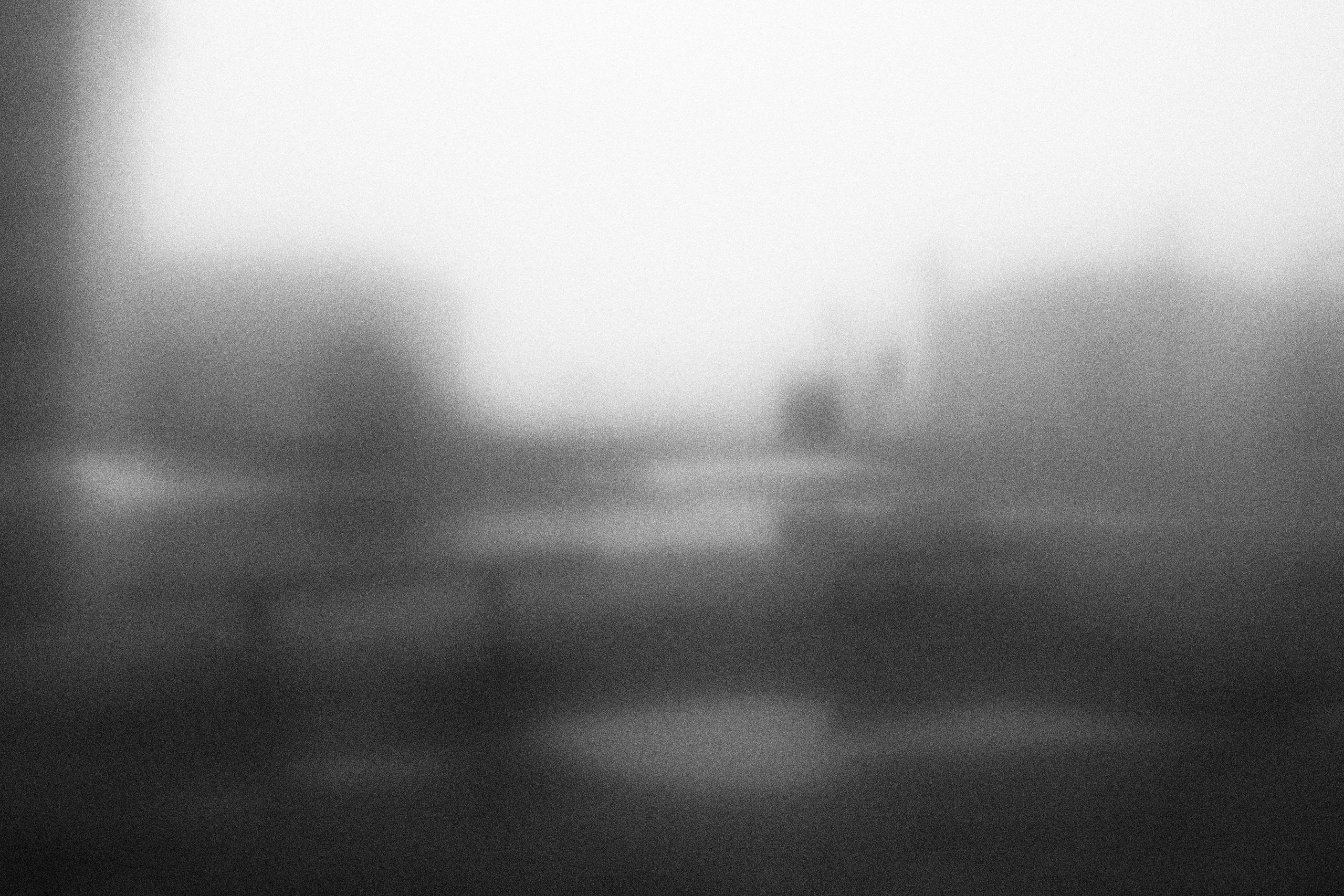 «Видеть. Чувствовать. Сохранять»