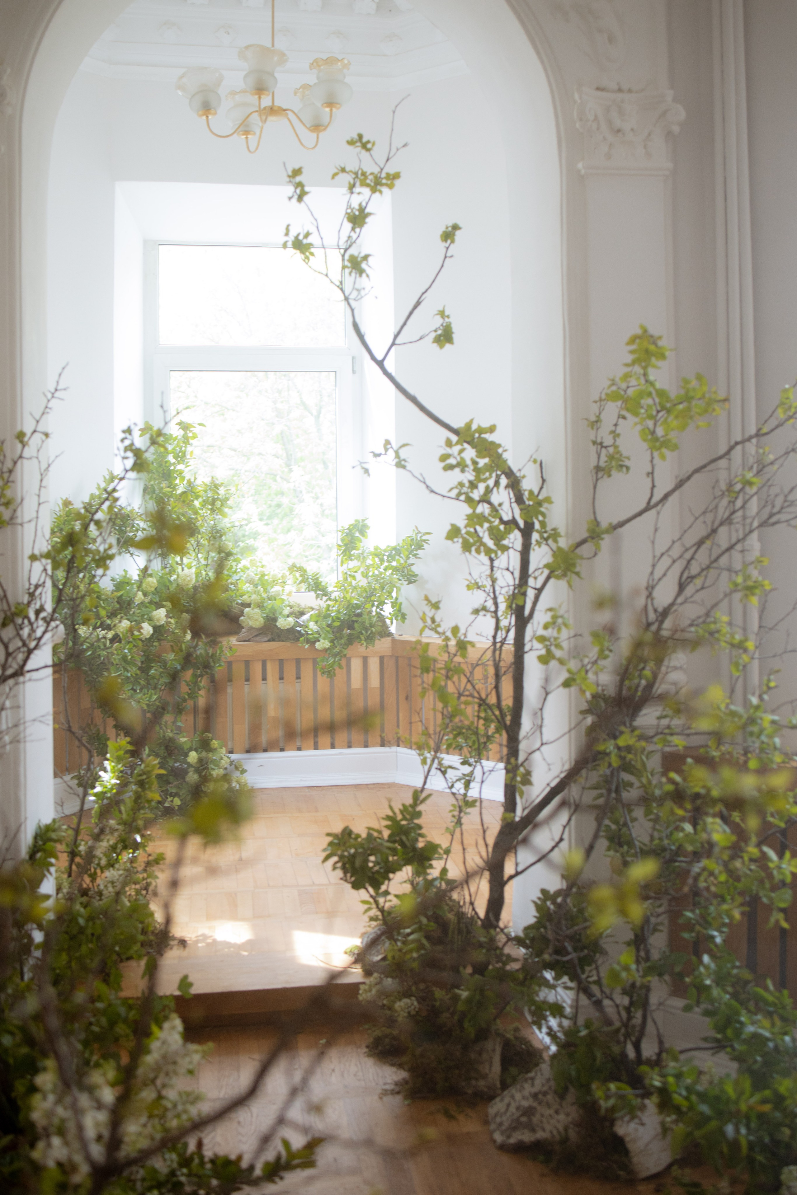 Утро Есении. Оформление свадеб, декор свадеб Вера Маркова, Москва