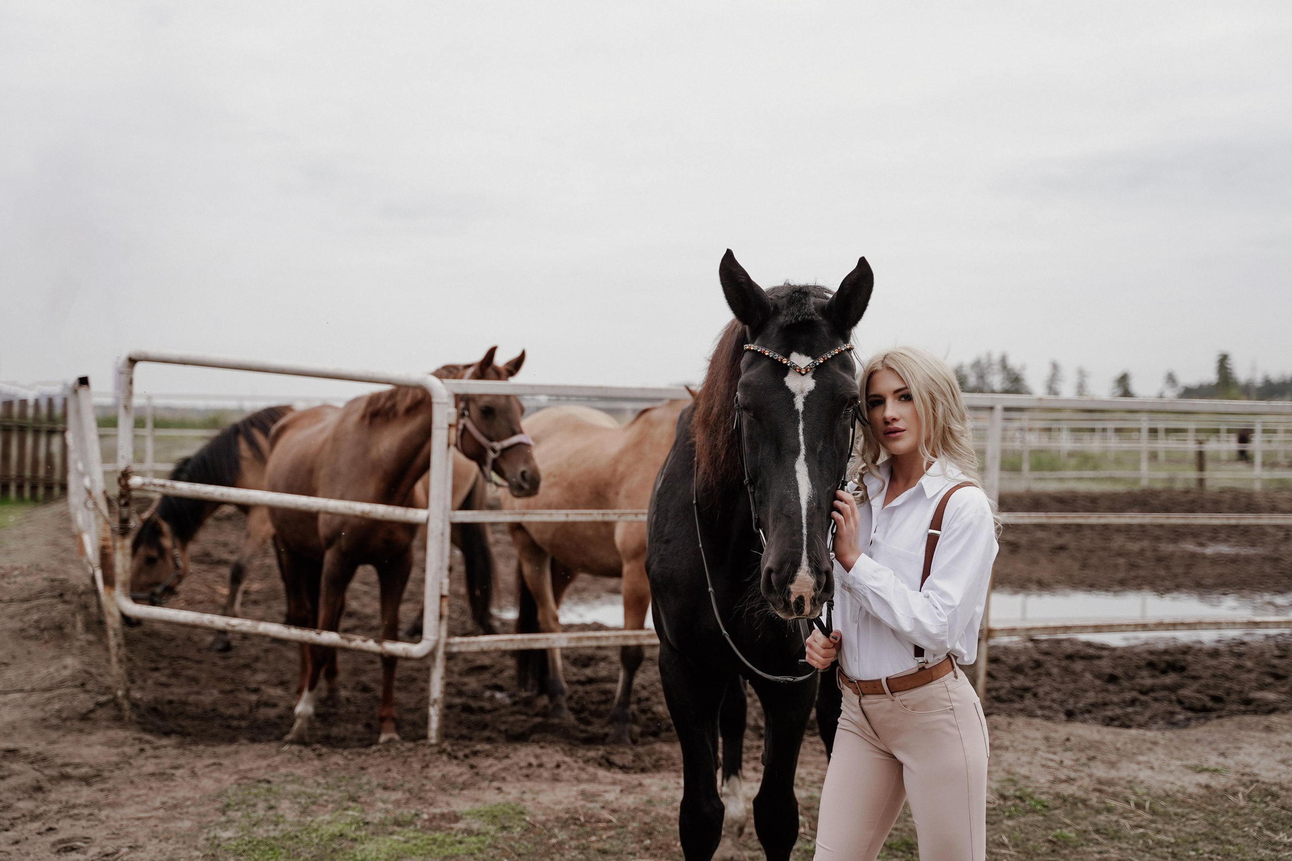 Елена прогулка на лошадях. Фотосъемка и видеосъемка свадеб Липецк