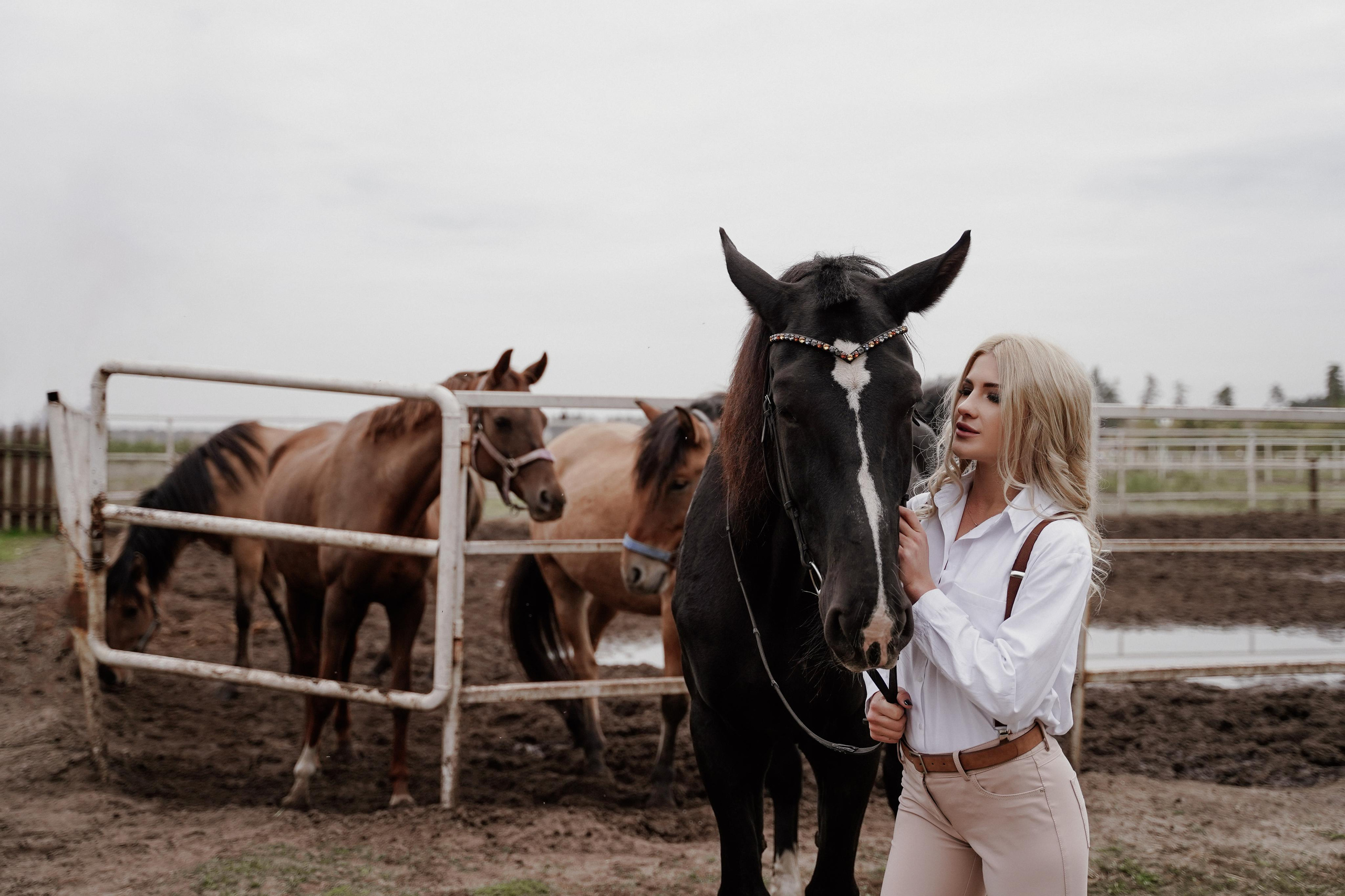 Елена прогулка на лошадях. Фотосъемка и видеосъемка свадеб Липецк