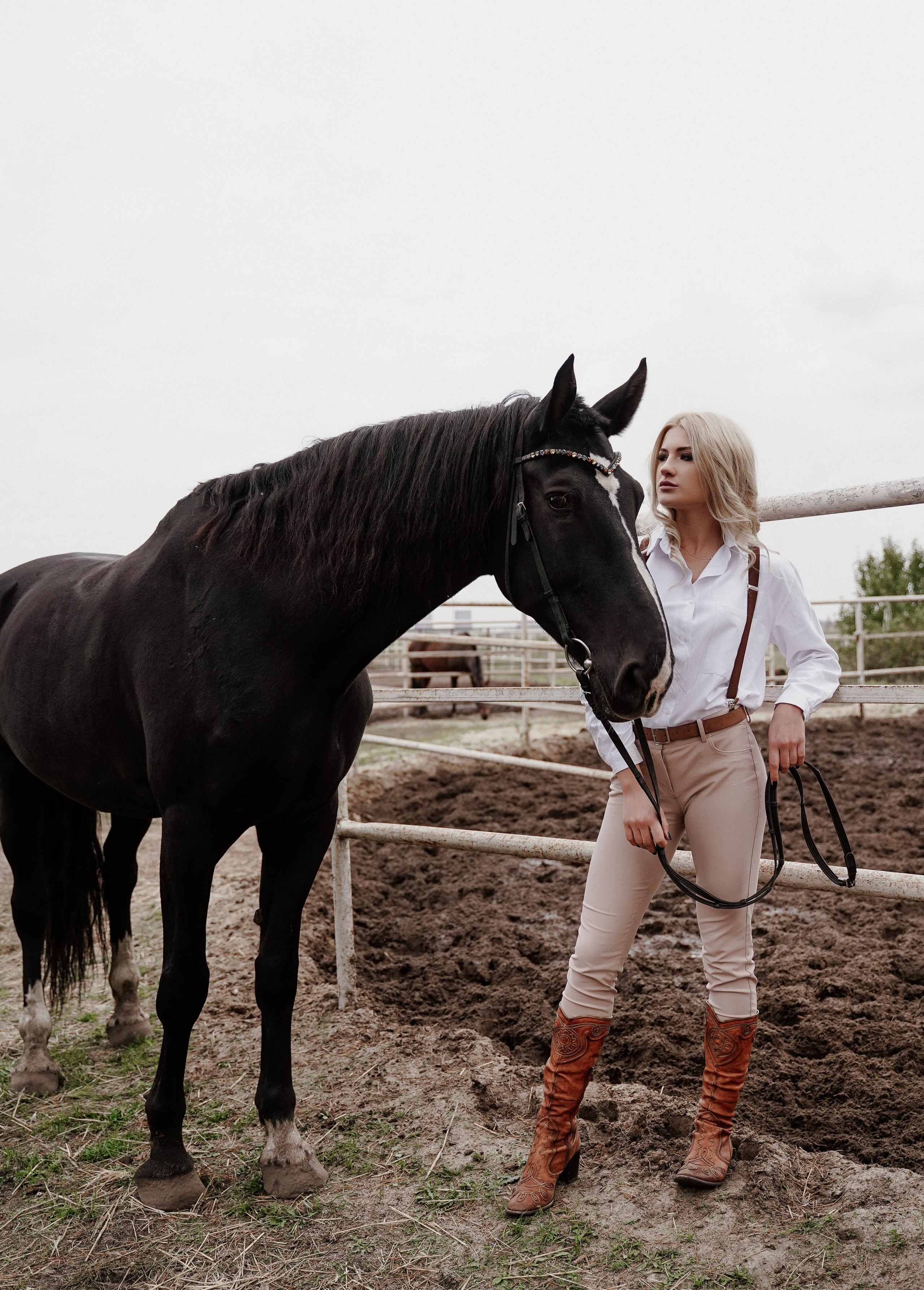 Елена прогулка на лошадях. Фотосъемка и видеосъемка свадеб Липецк