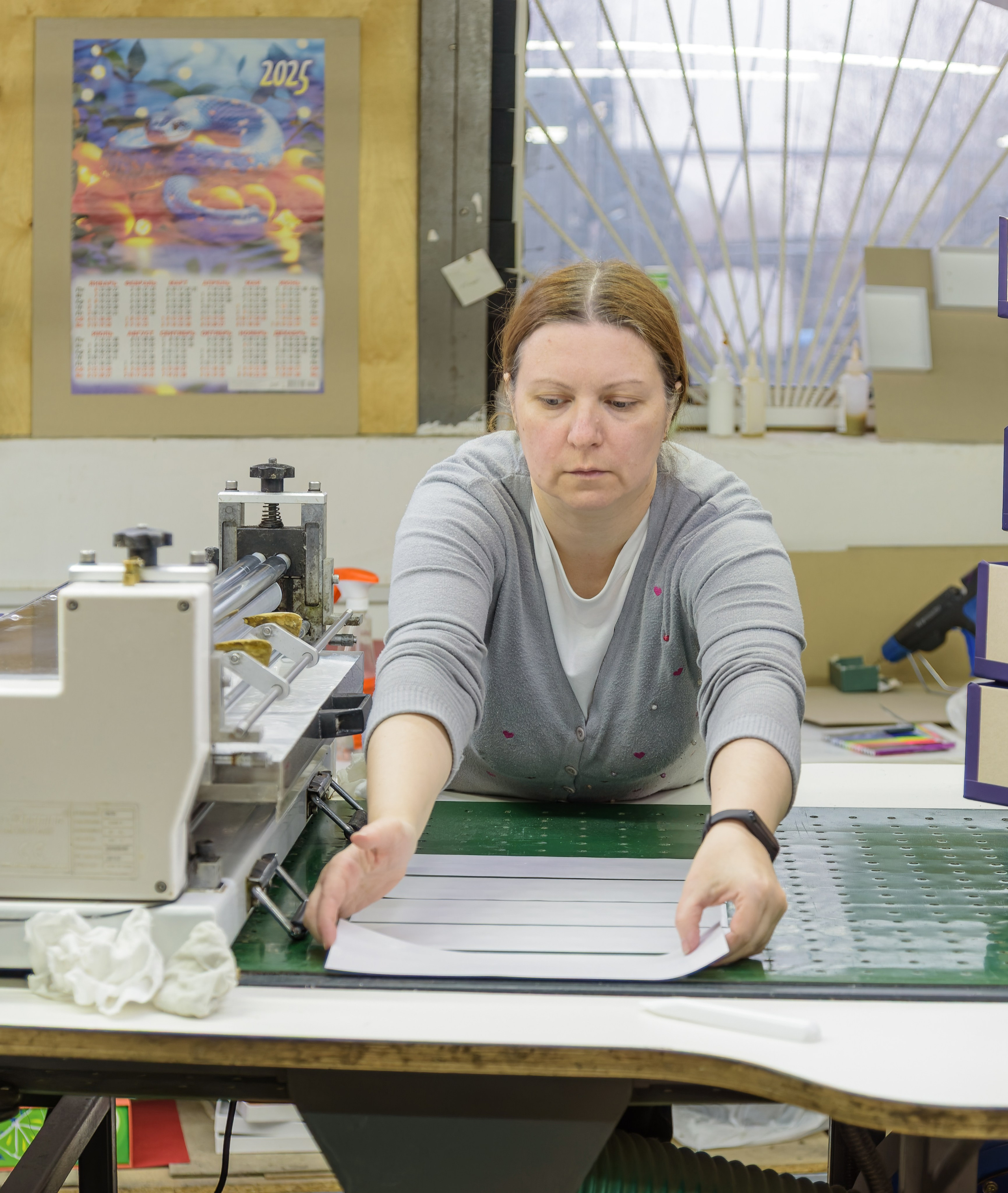 Производственные цеха компании «Маркетри». Fotolux