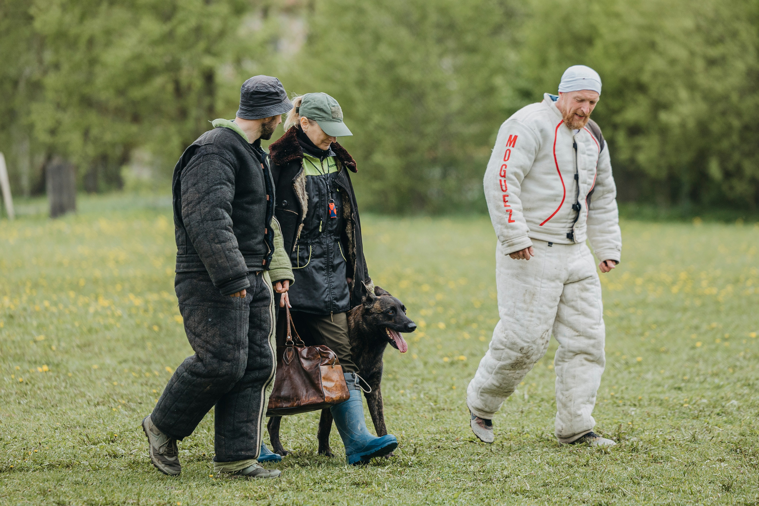 26.05.25 г. Пушкин квалификационные соревнования. Фотограф-анималист Анна Маринич