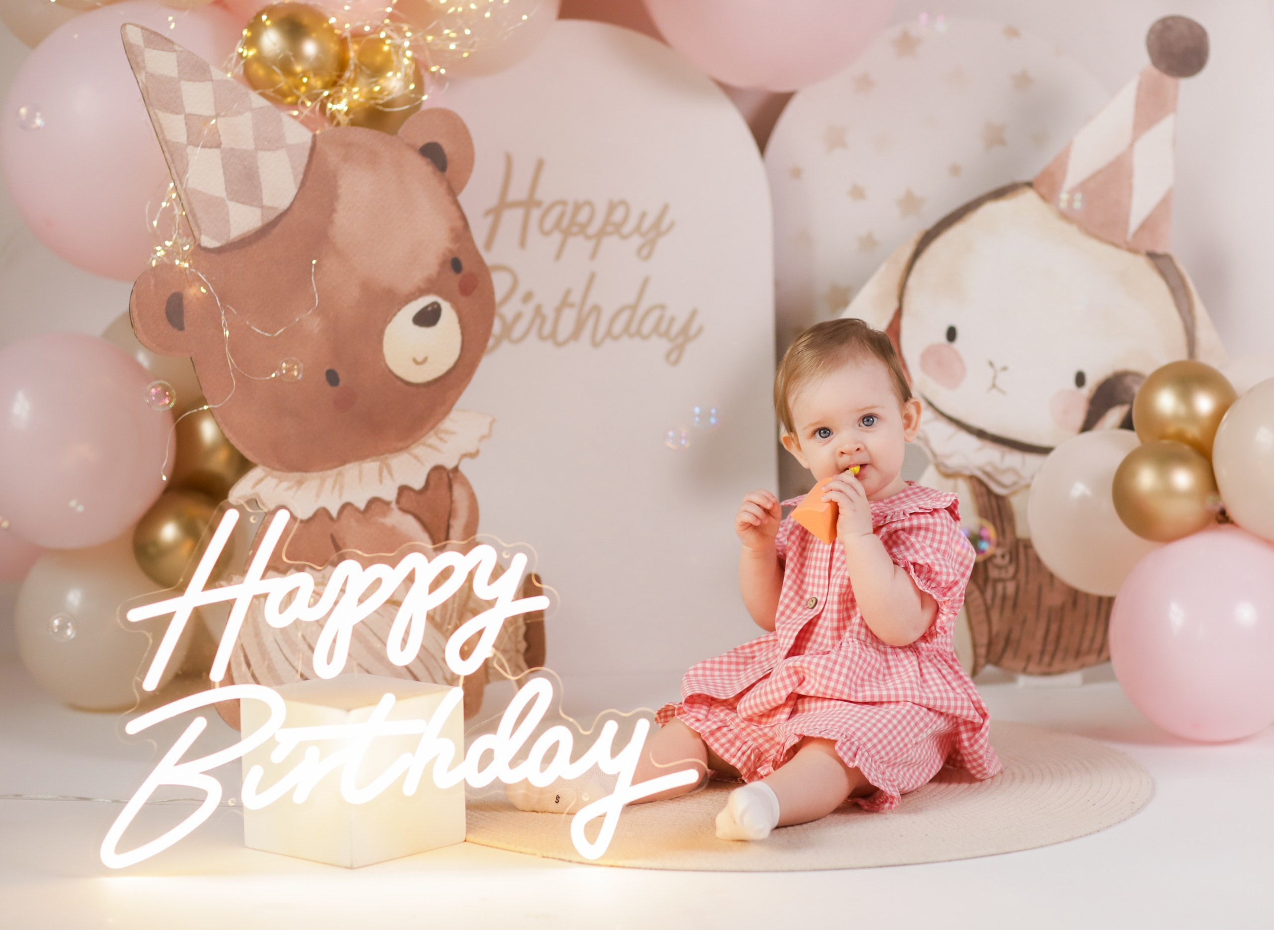 Детский День рождения. Фотостудия «Птичка» Мытищи,