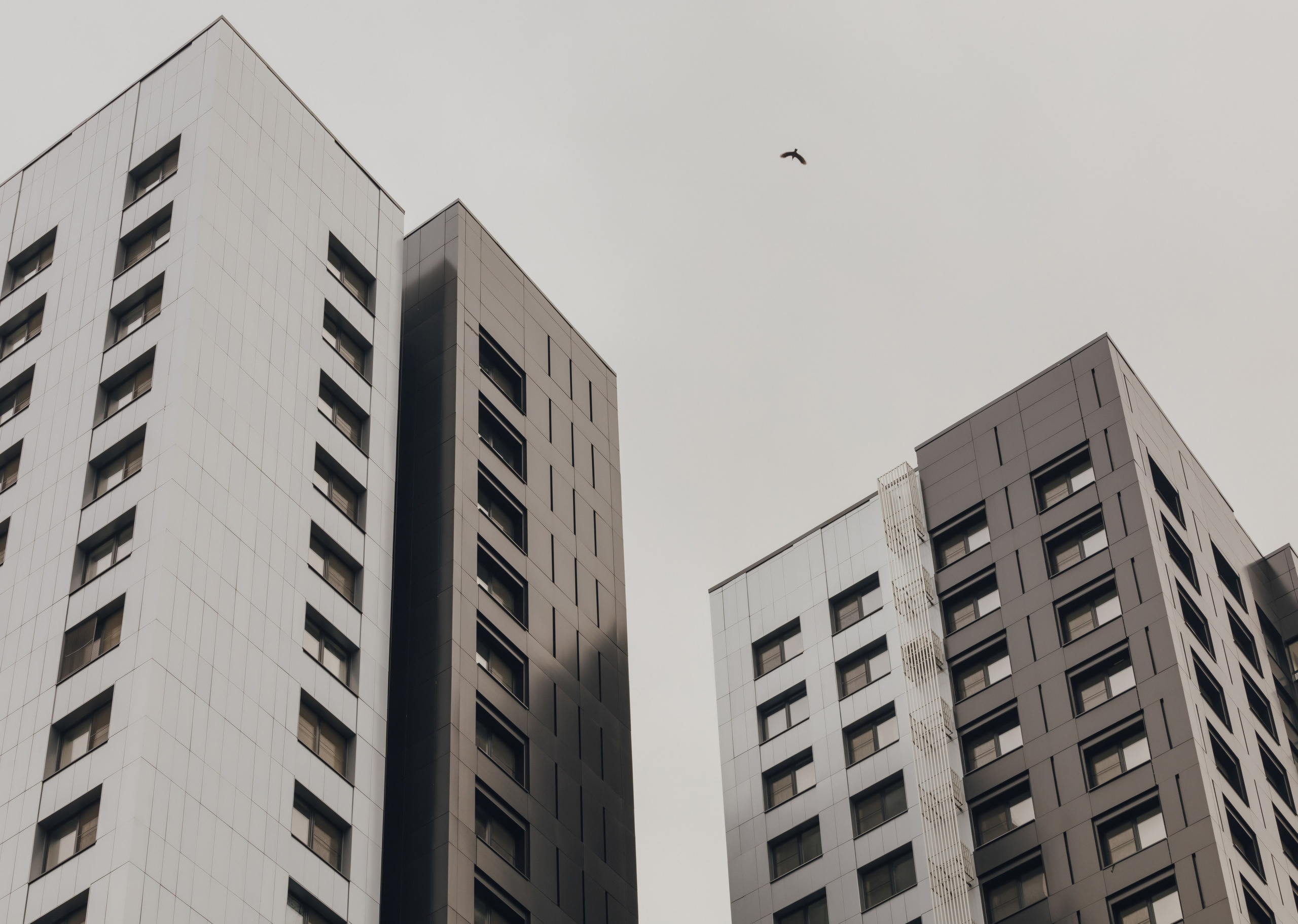 РЕНОВАЦИЯ — 16я ПАРКОВАЯ. АЛТ Портфолио