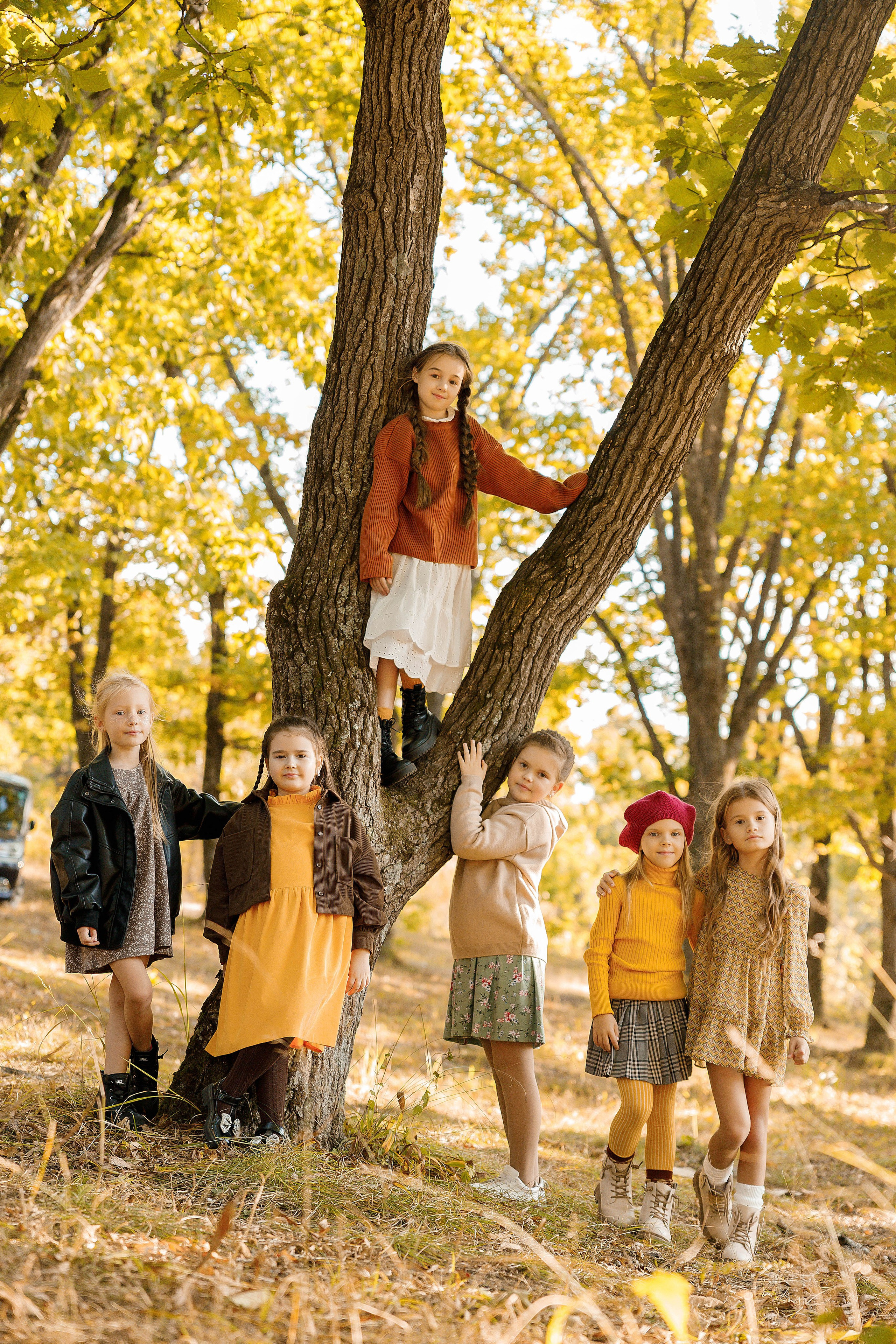 Осень Гимназия 2 класс. Photoalbum-vl.ru