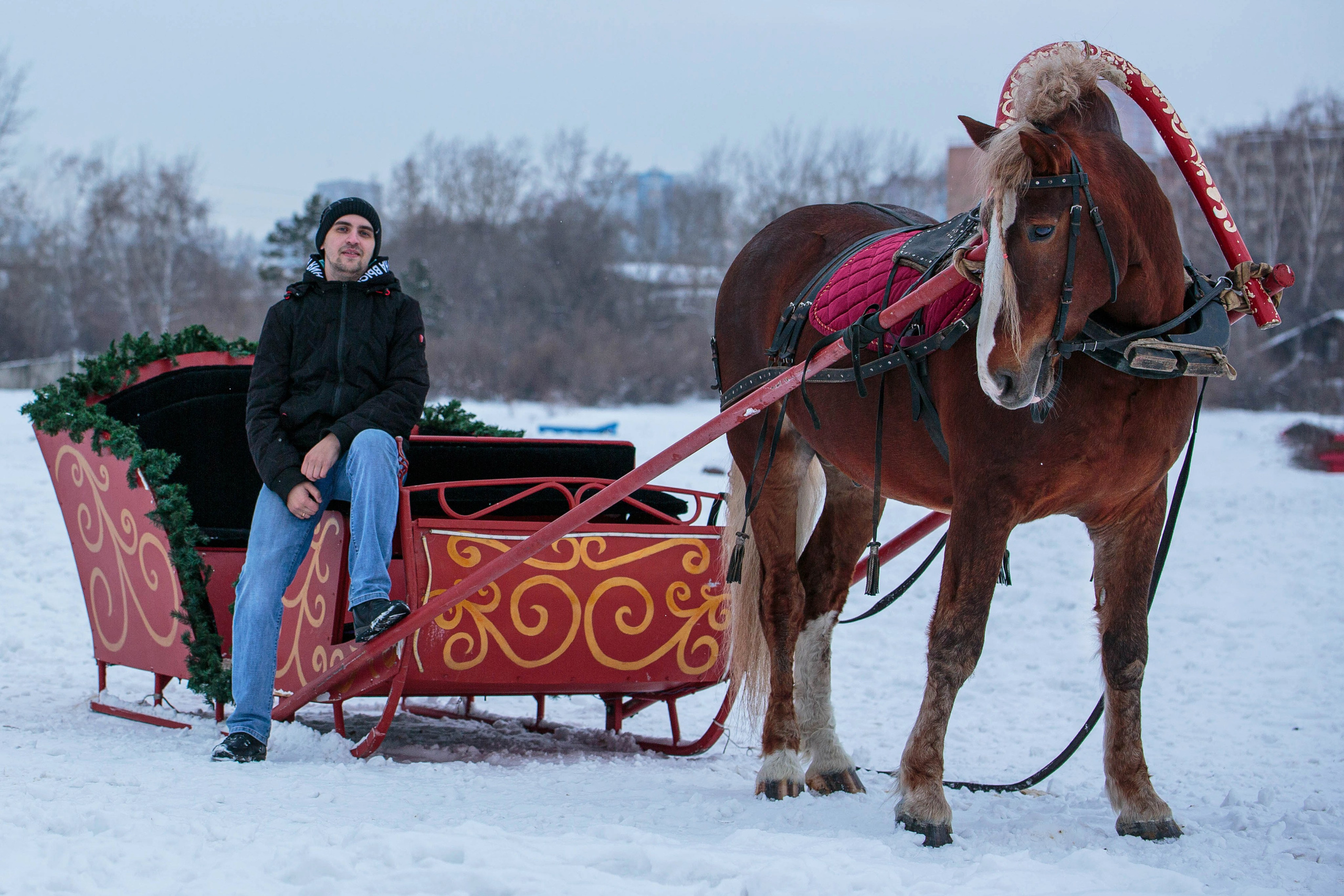 Карета 24. Конный фотограф в Красноярске — Любовь Похабова