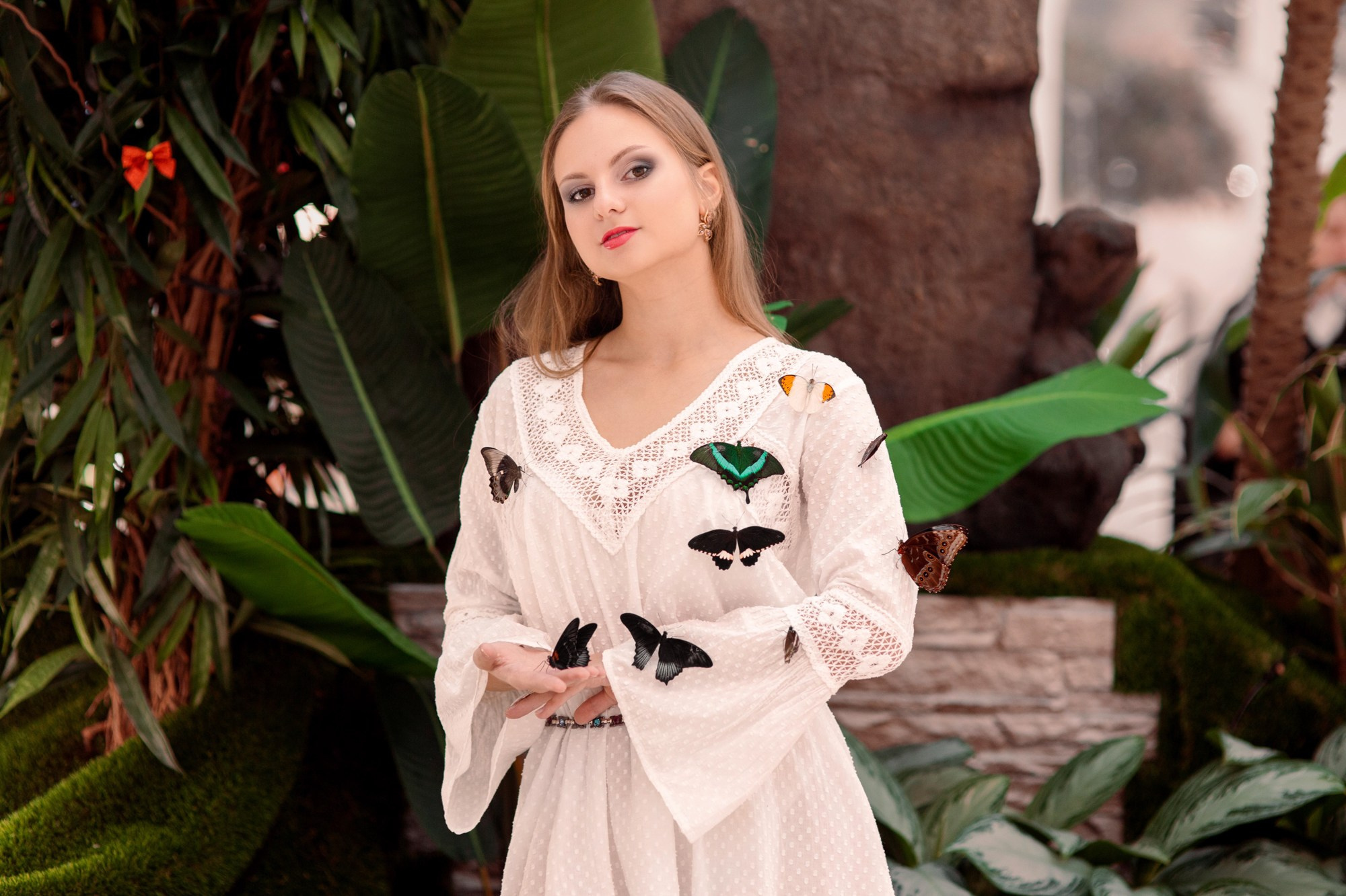 Бабочки. Фотограф Сочи, Сириус, Адлер, Красная поляна Суворов Анатолий