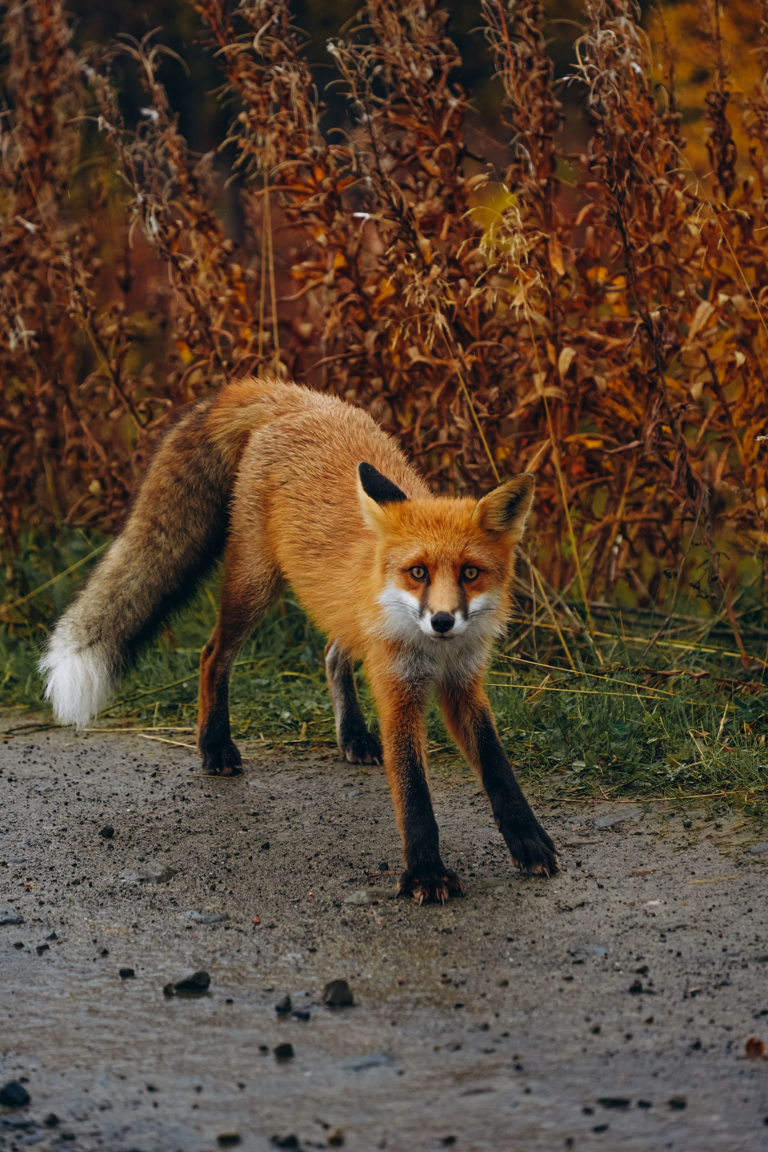 СЕВЕР. Event фотограф Степанова Александра