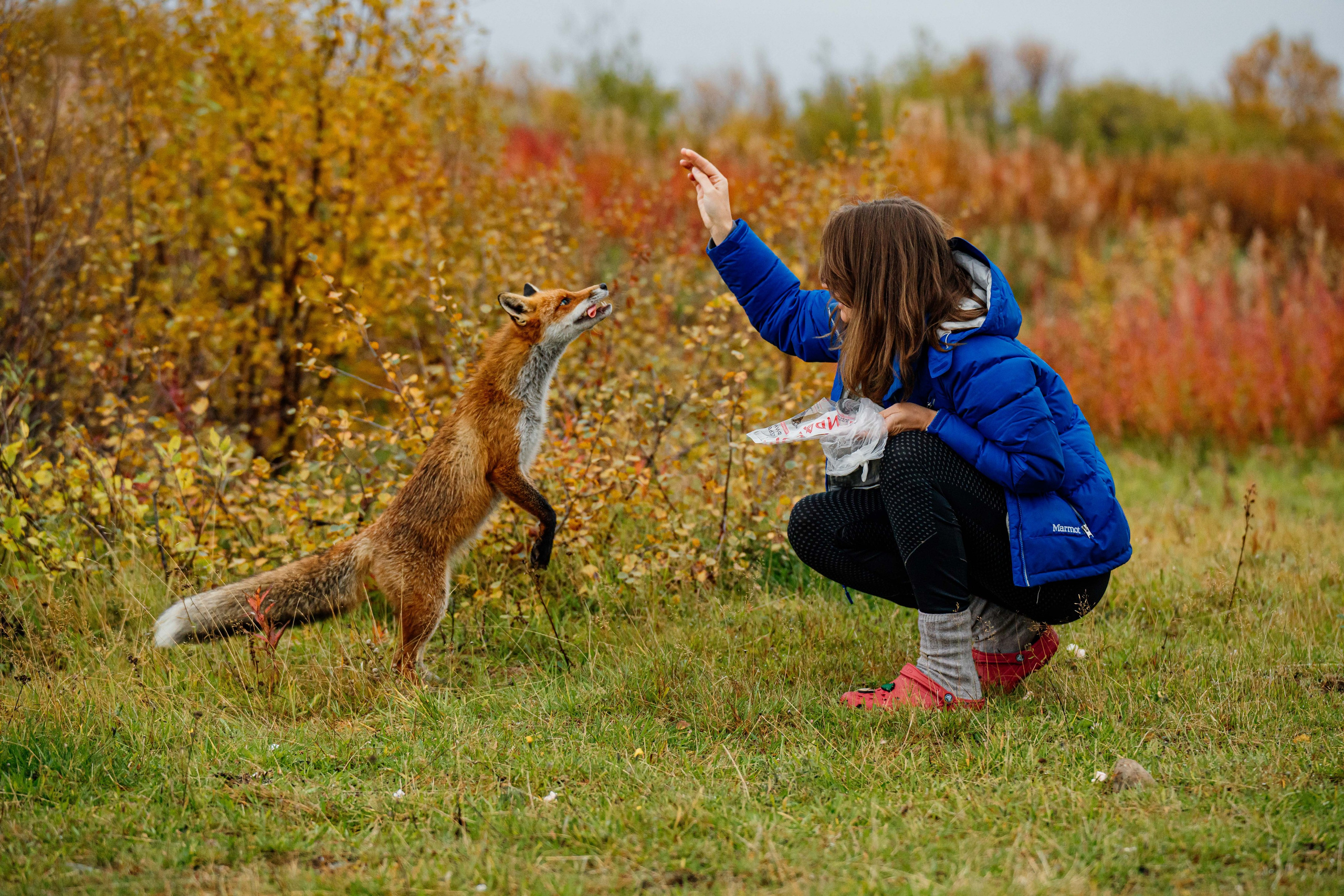 СЕВЕР. Event фотограф Степанова Александра