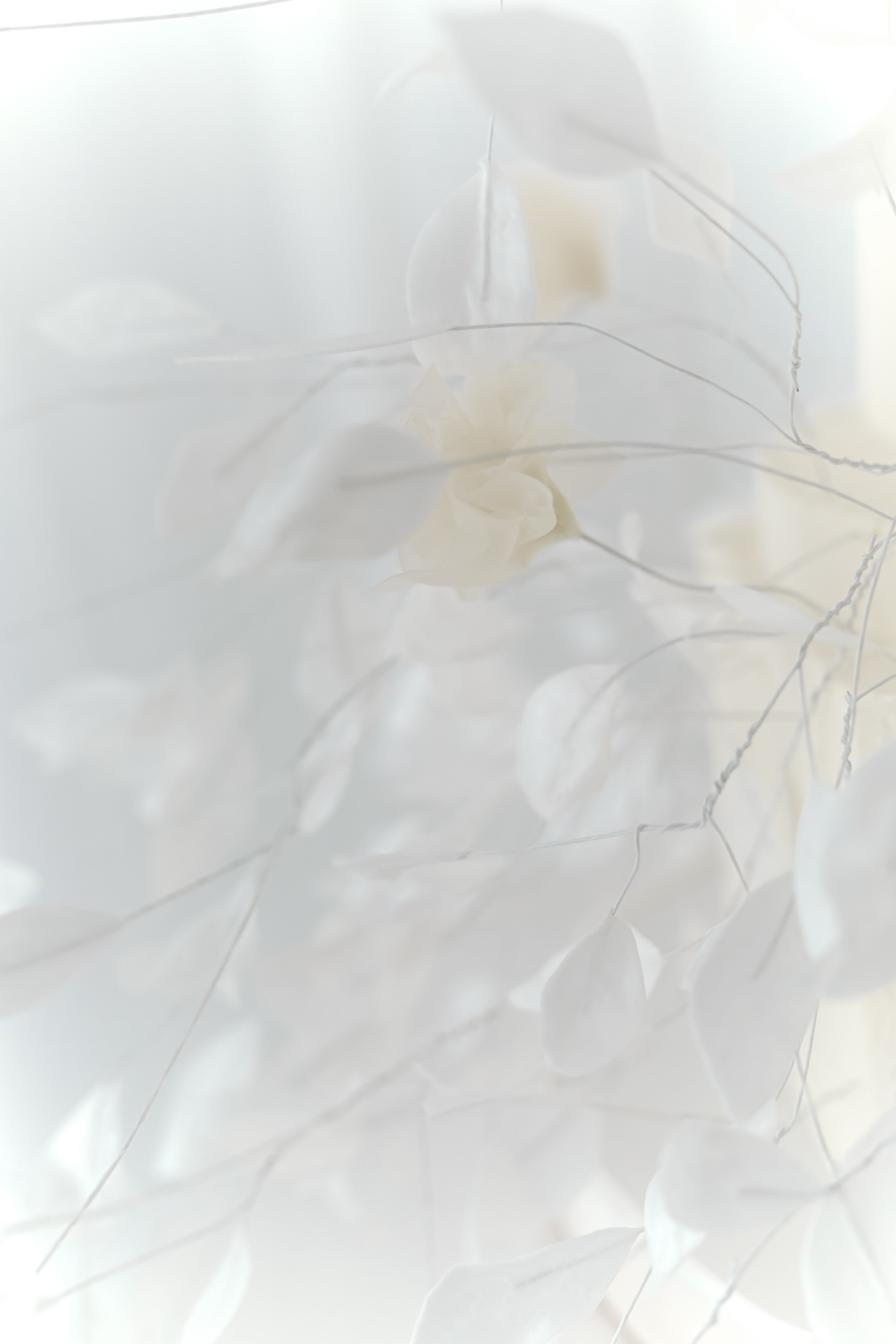 Виктория и Максим.Краснодар. Фотограф Славянск на кубани Краснодар