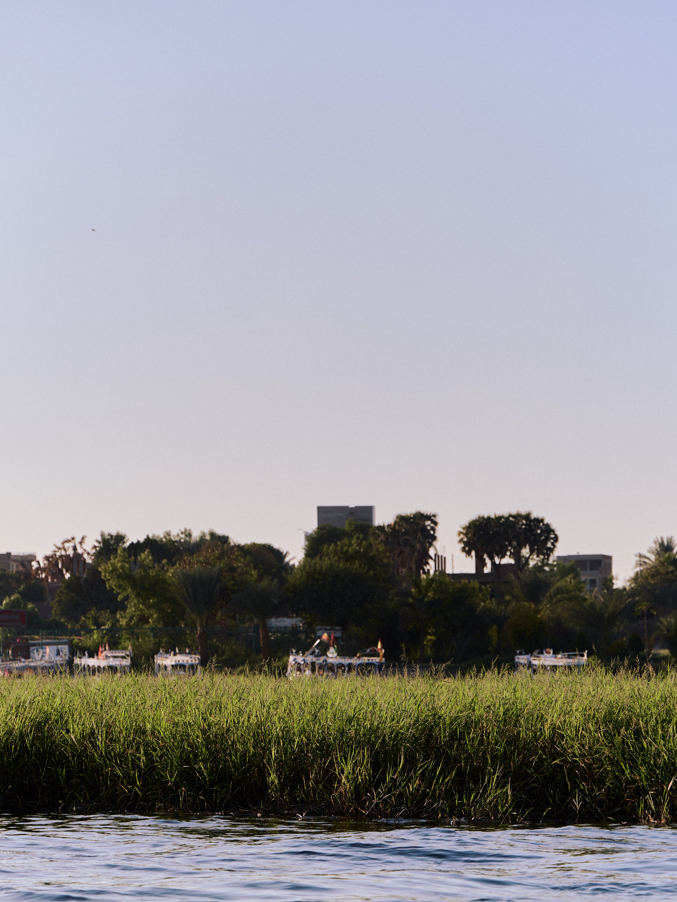 Другое 4. Jorgis — фотограф в Хургаде / обучение фотографии