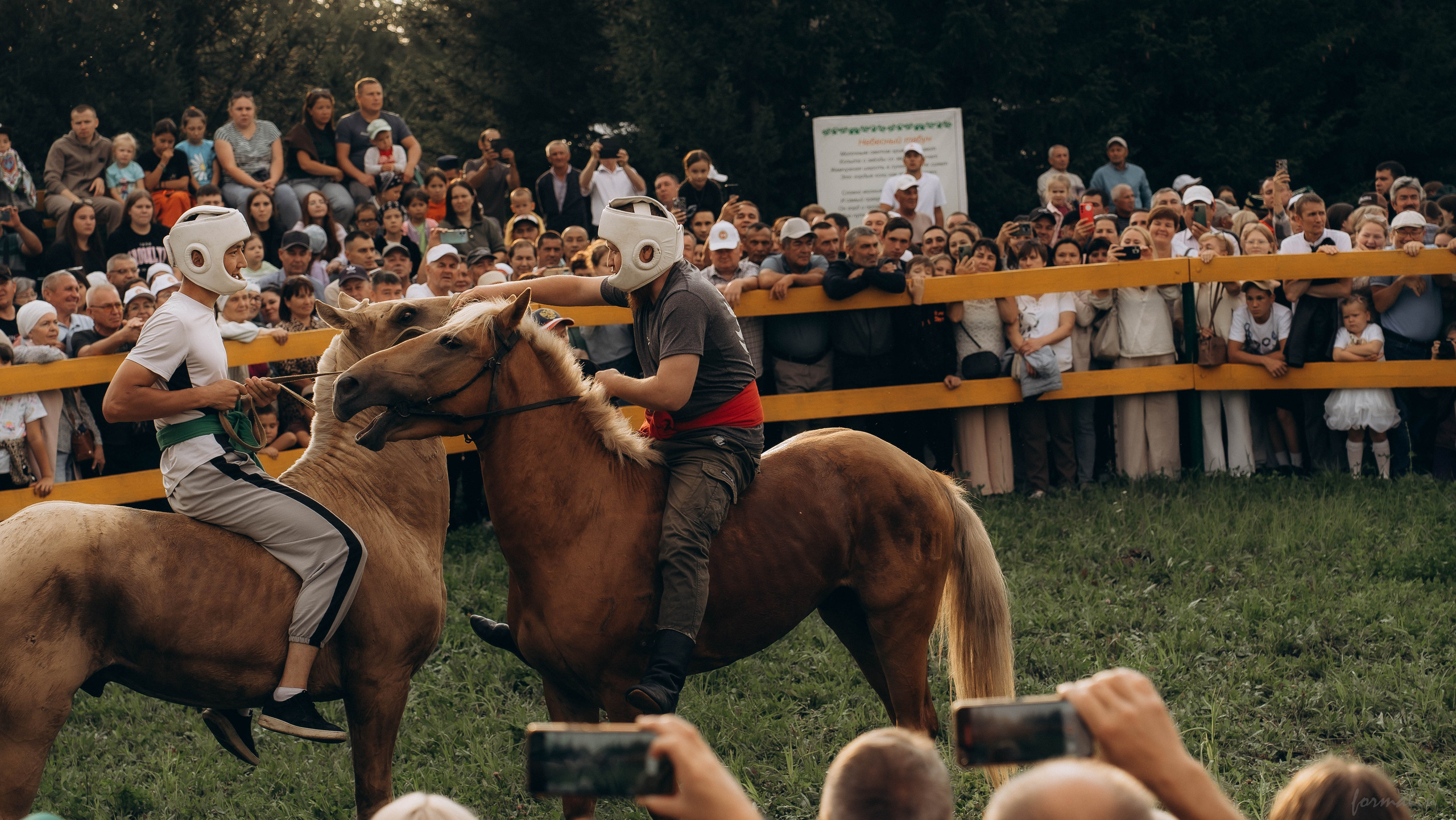 День Коня. Алиса Никитцова | Фотограф в Казани