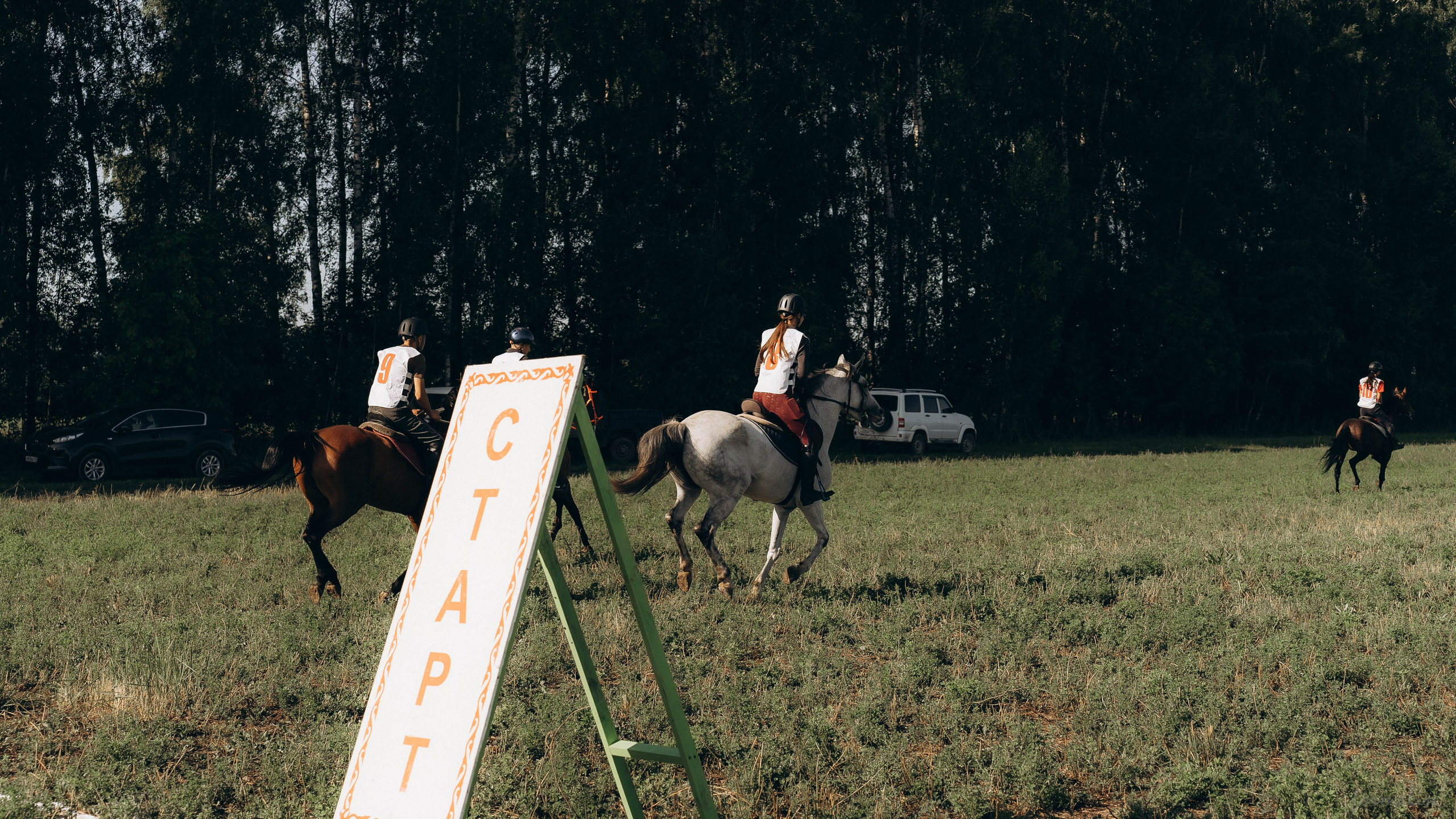 День Коня. Алиса Никитцова | Фотограф в Казани