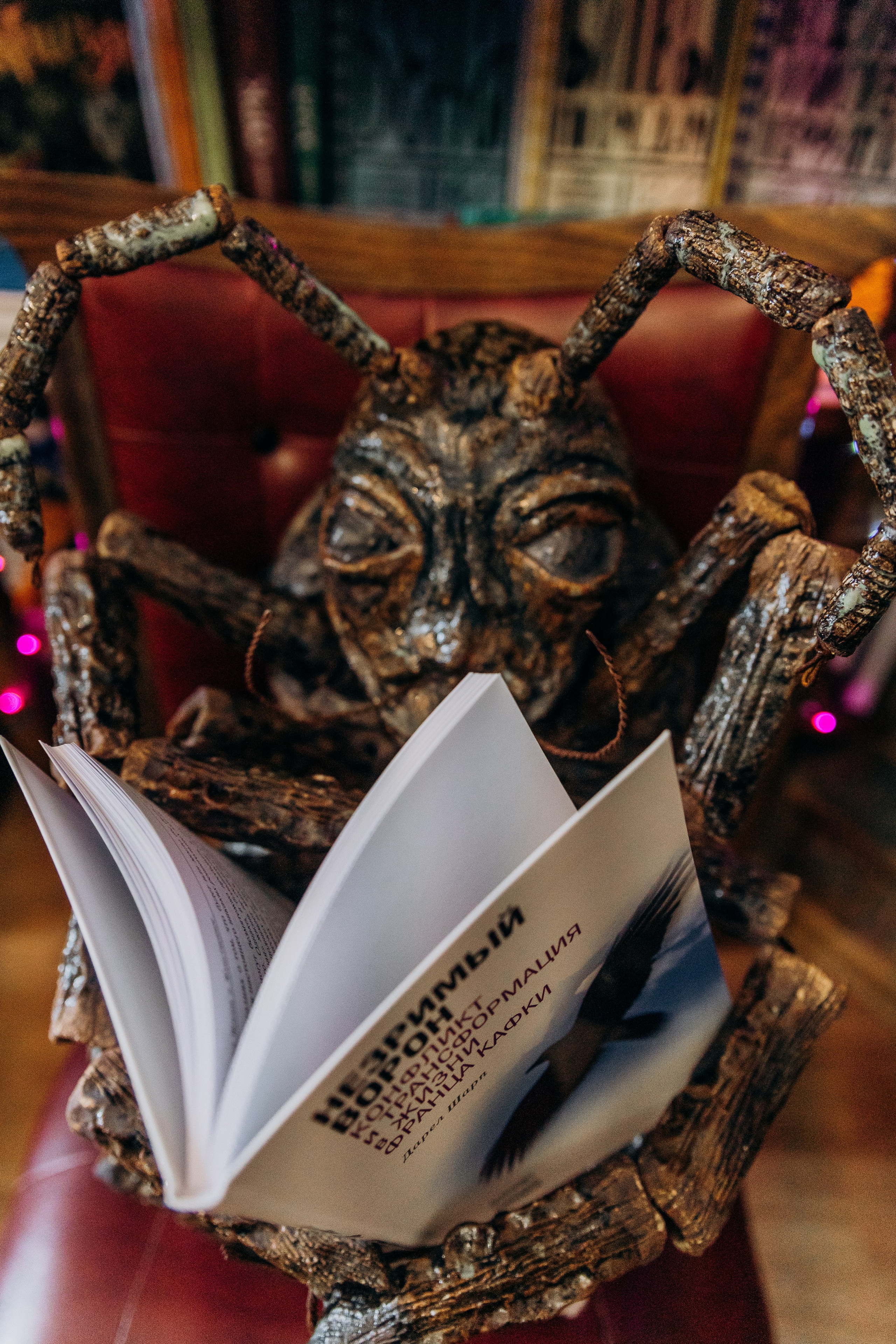 Презентация фотокниги «Beetlemania», 21.01.2024, г. Краснодар, независимый книжный «Чарли». Лера Круглова