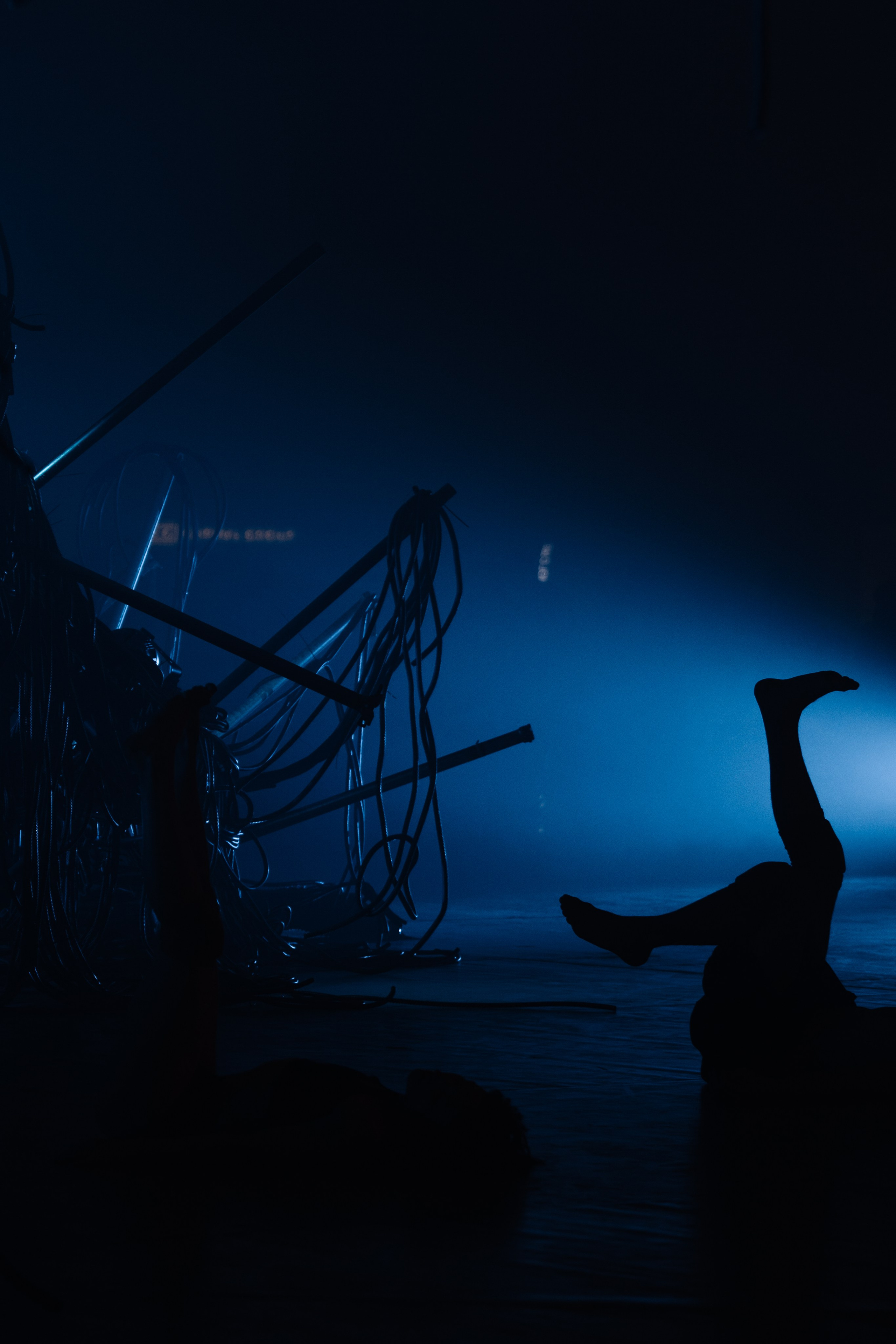 PERFORMA, The Hour of the Horse. @tomrus: Рустам Шагиморданов — фотограф