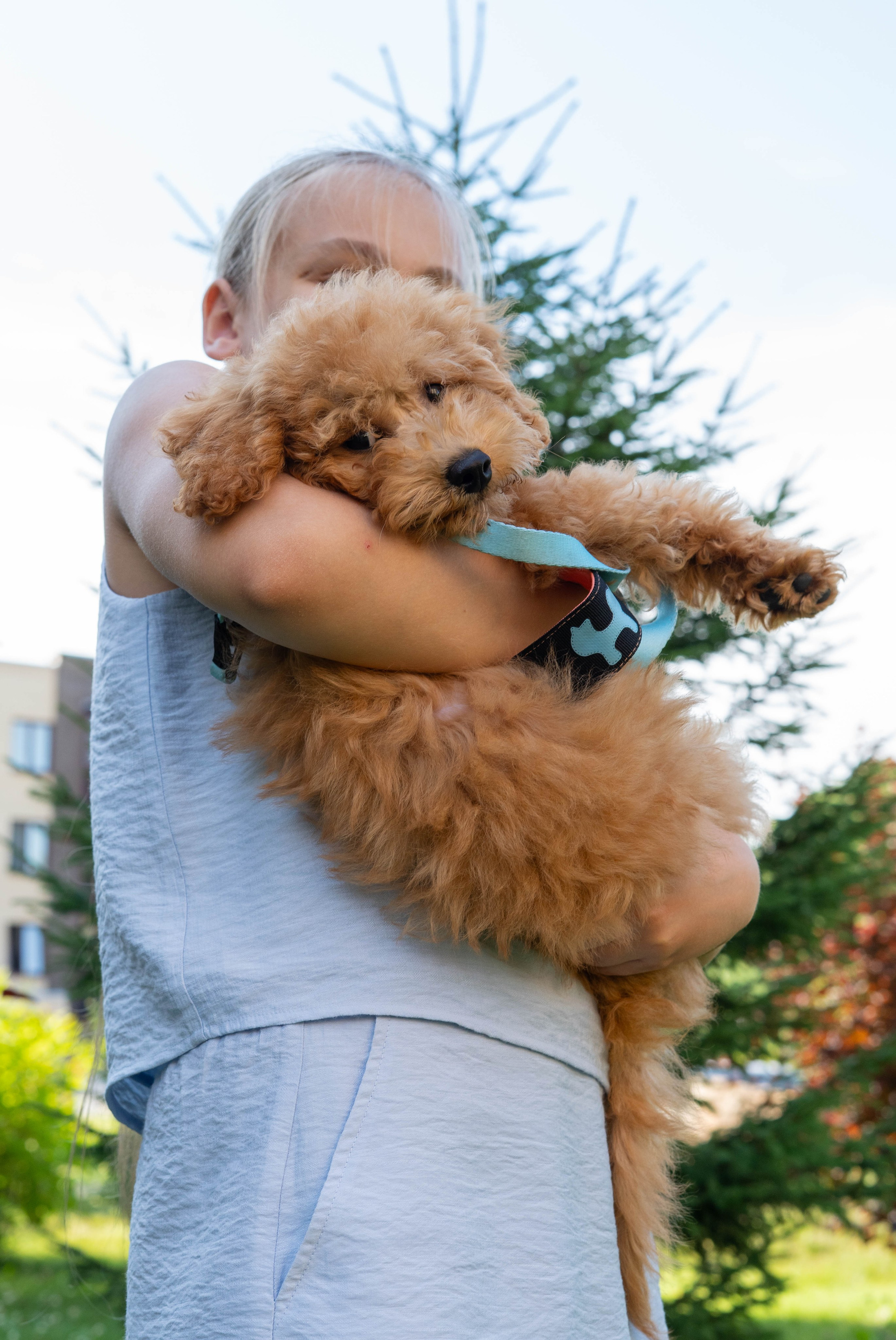 Прогулочная фотосессия Новосибирск Краснообск Love-story  фотосессия Новосибирск Краснообск