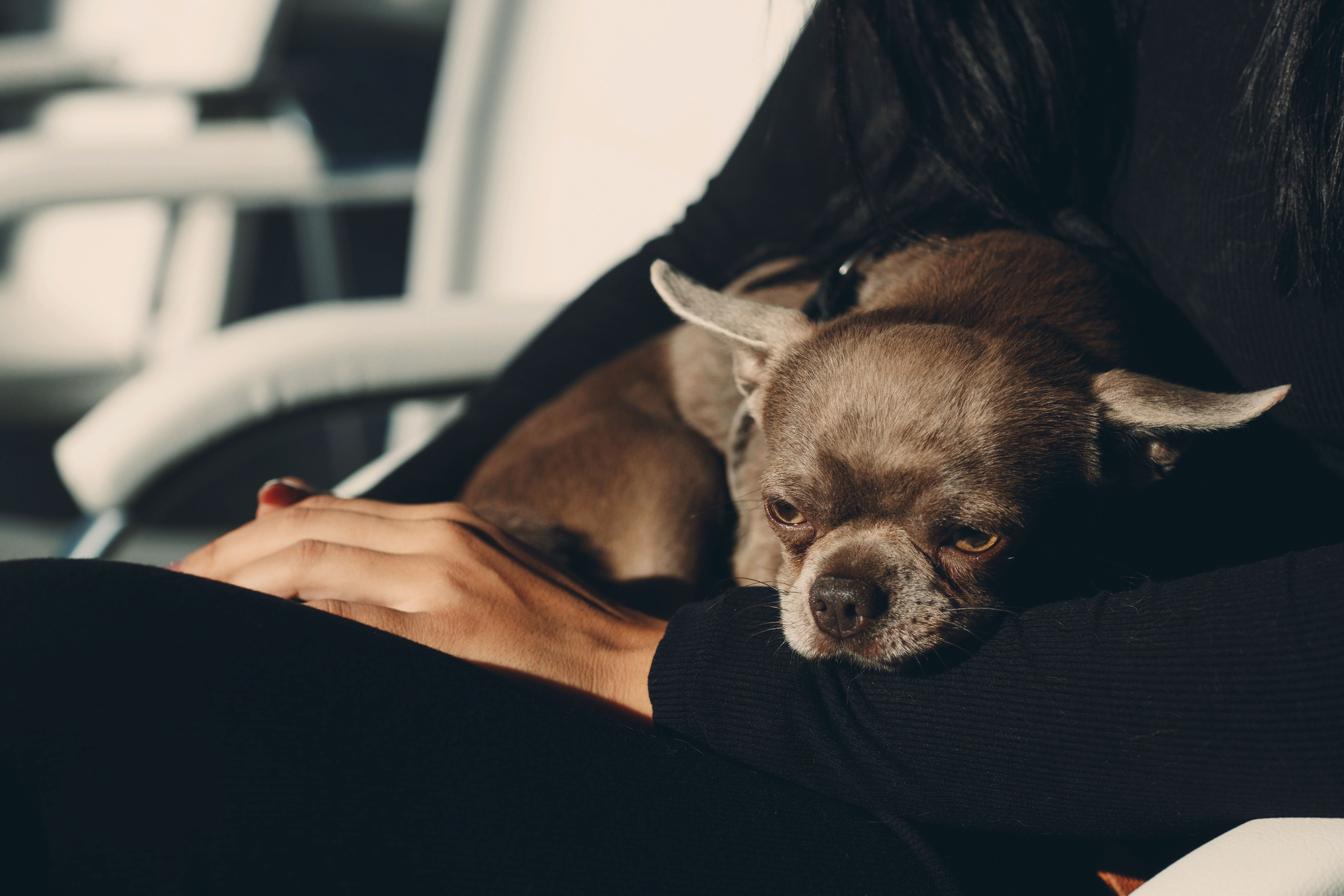 Репортажная съемка форума «Двери Росси-2025» в Чебоксарах. Портретный и репортажный фотограф в Чебоксарах Андриян Чаркин