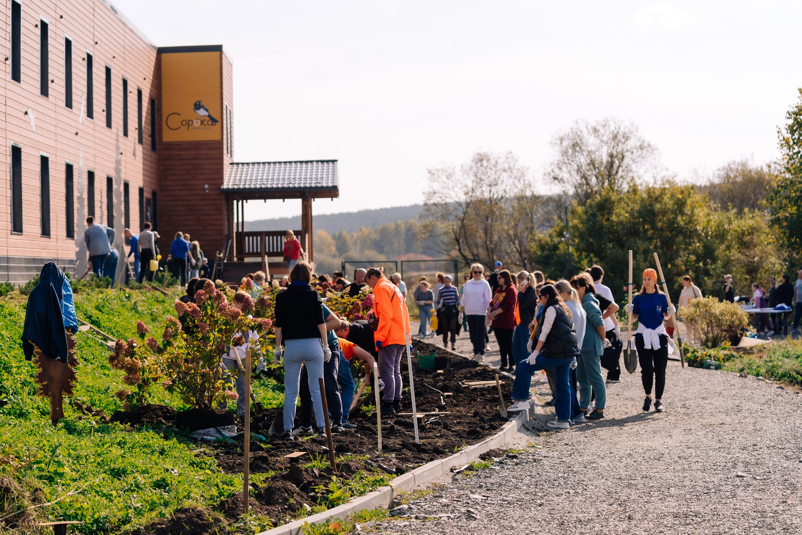 Дневные события. Geometria