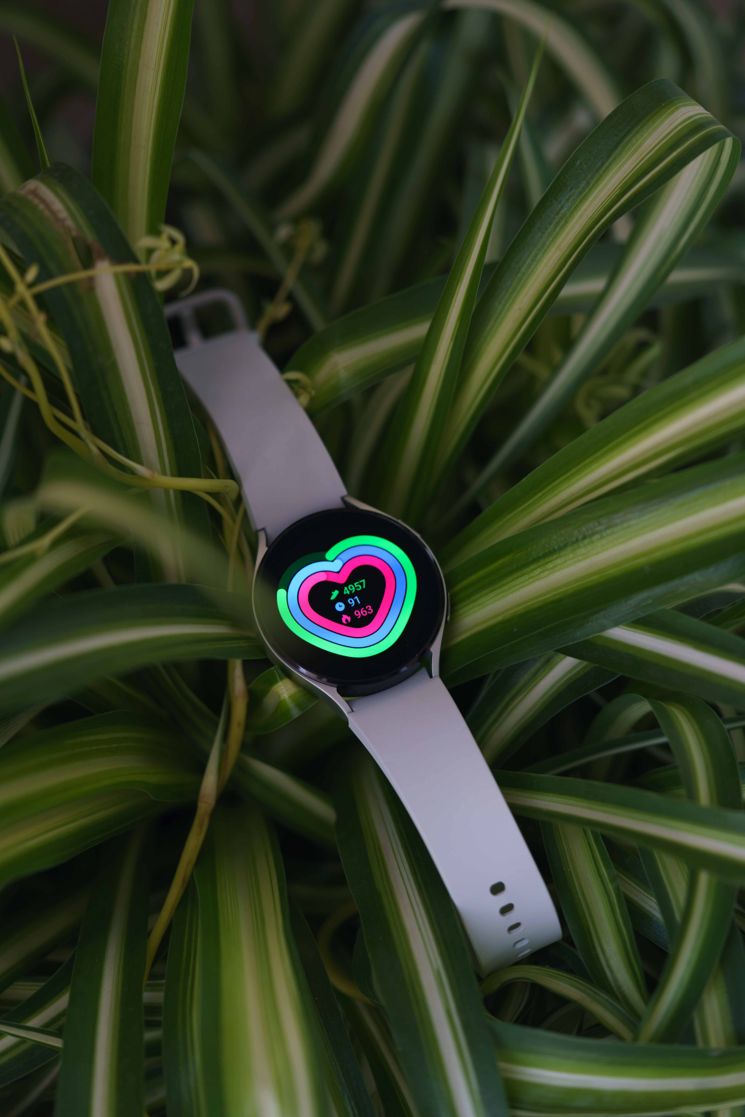 Репортажный фотограф в Алматы — Настоящие эмоции и живые кадры | ProPhoto.kz