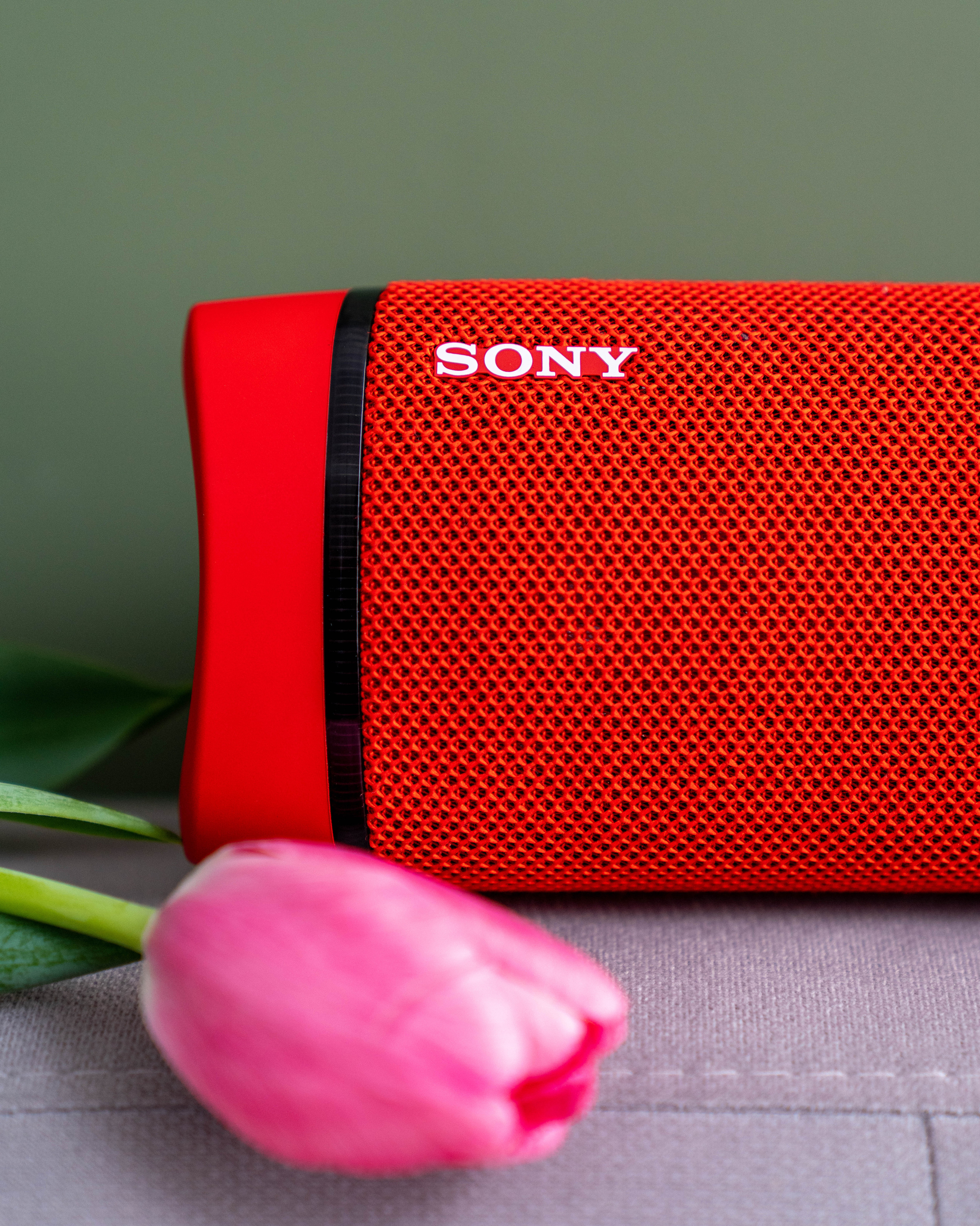 Репортажный фотограф в Алматы — Настоящие эмоции и живые кадры | ProPhoto.kz