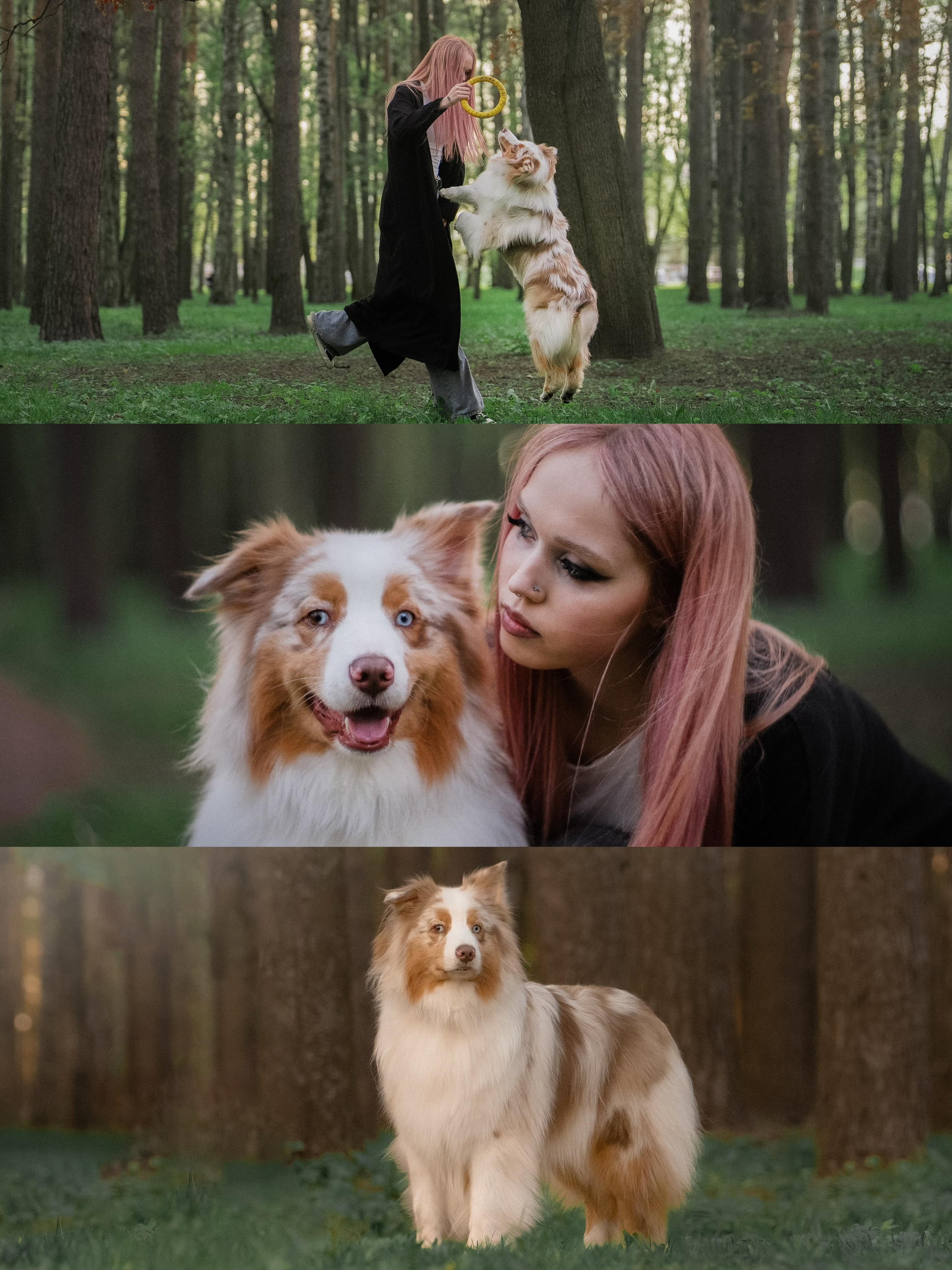 Света, Катрин, Умка. Фотограф анималист в Москве и Санкт-Петербурге Свиридова Анна
