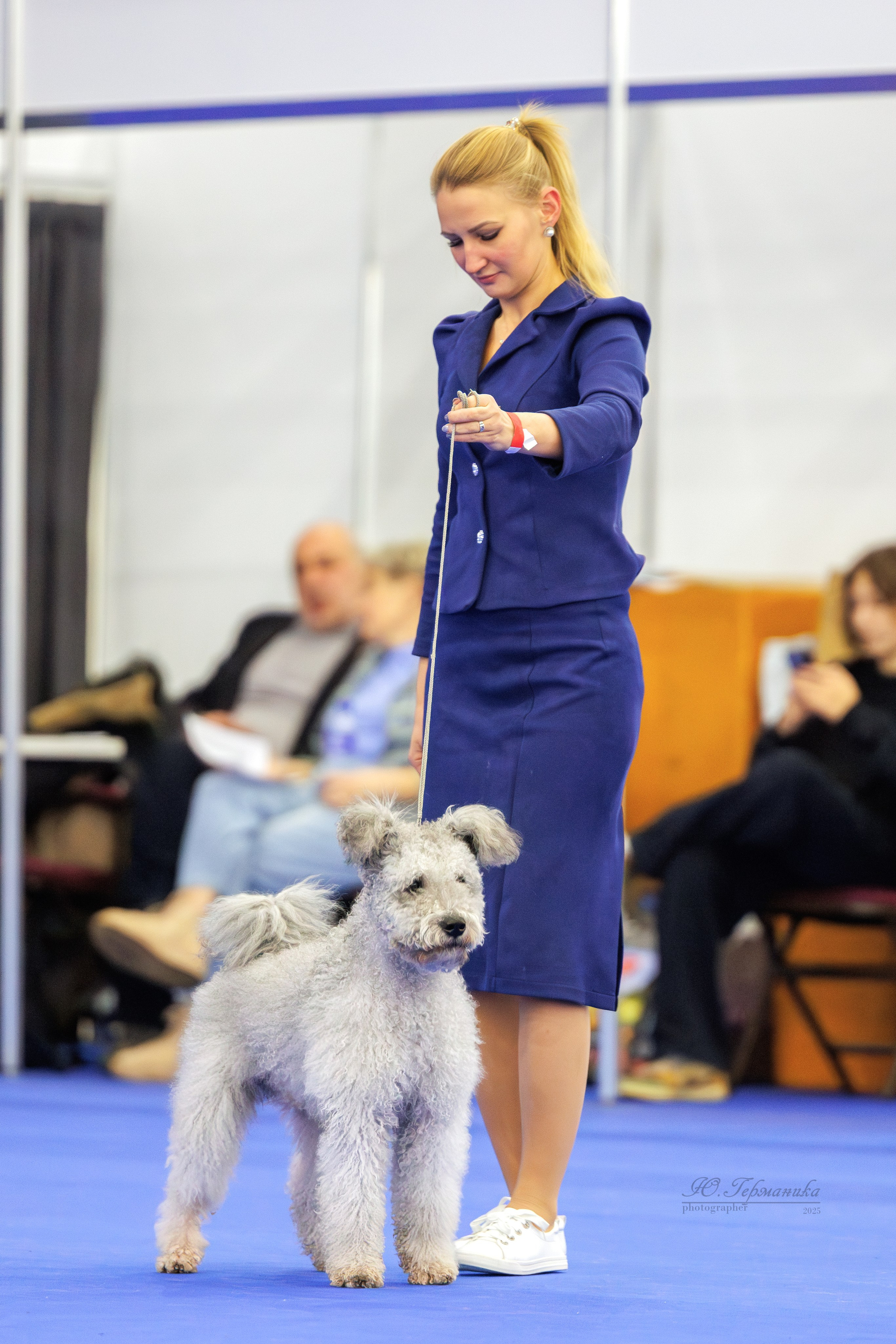 Питер 12-13.12.2025. Фотограф-анималист Юлия Германика